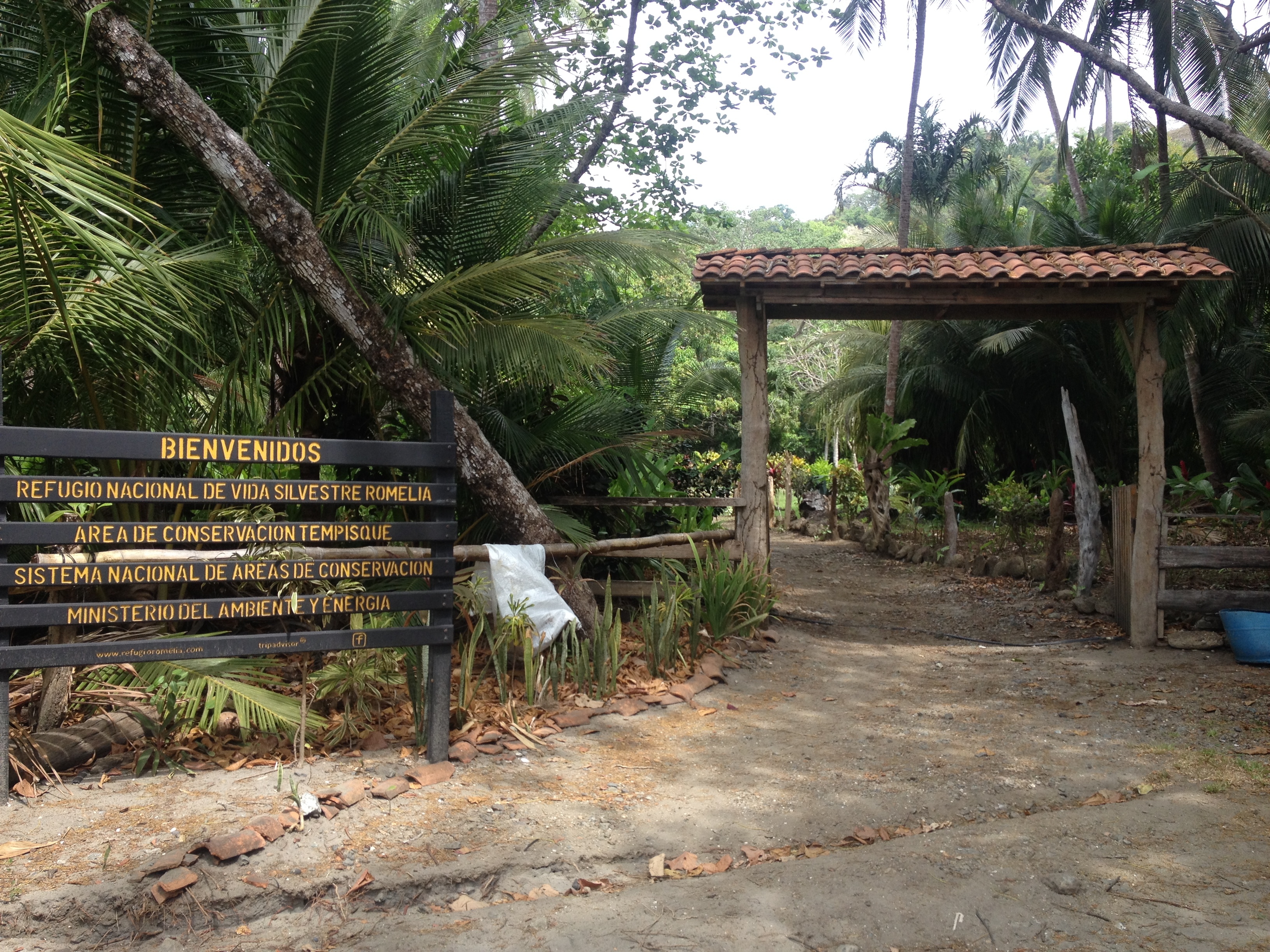 รูปถ่าย คอสตาริกา(Costa Rica) มอนเตซูมา(Montezuma) 2015-03 165