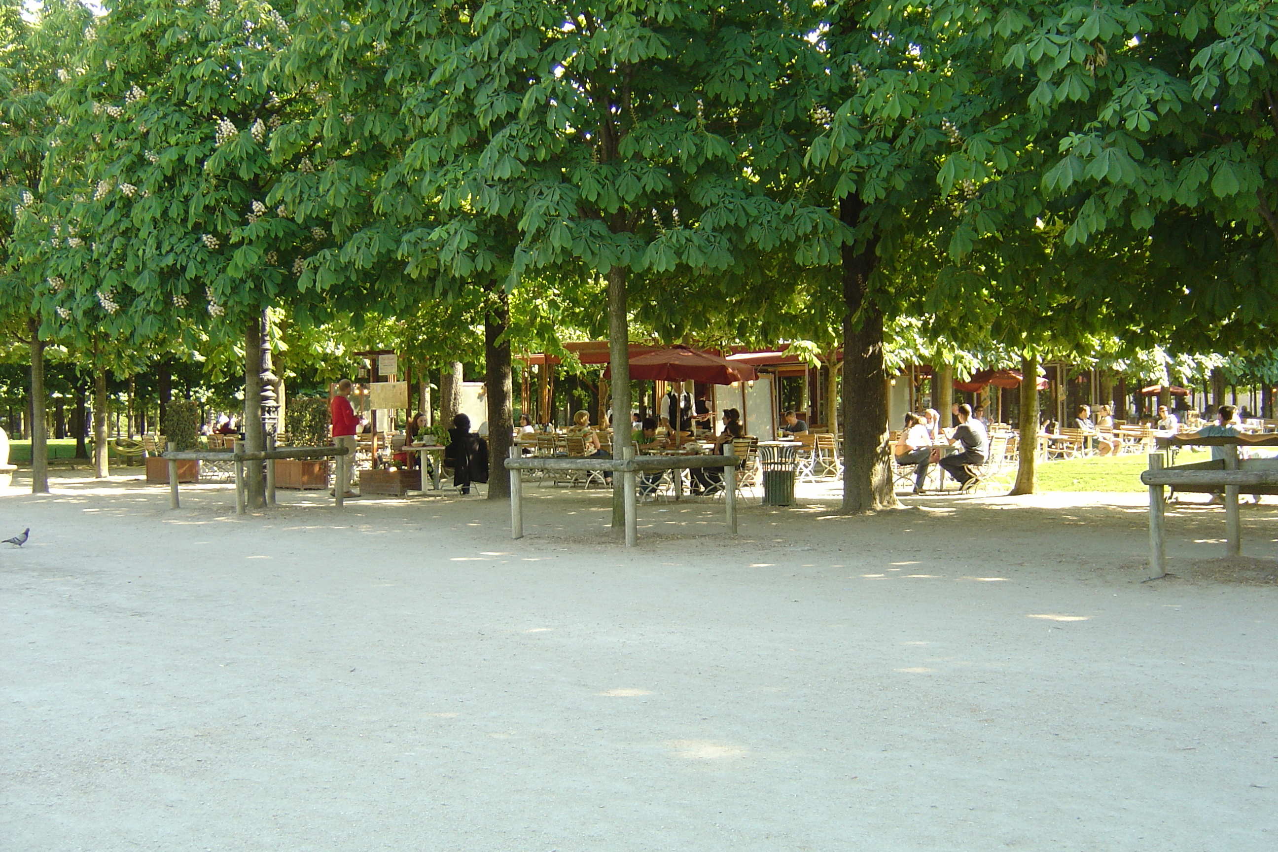 รูปถ่าย ฝรั่งเศส(France) ปารีส(Paris) สวนตุยเลอรี(Garden of Tuileries) 2007-05 234