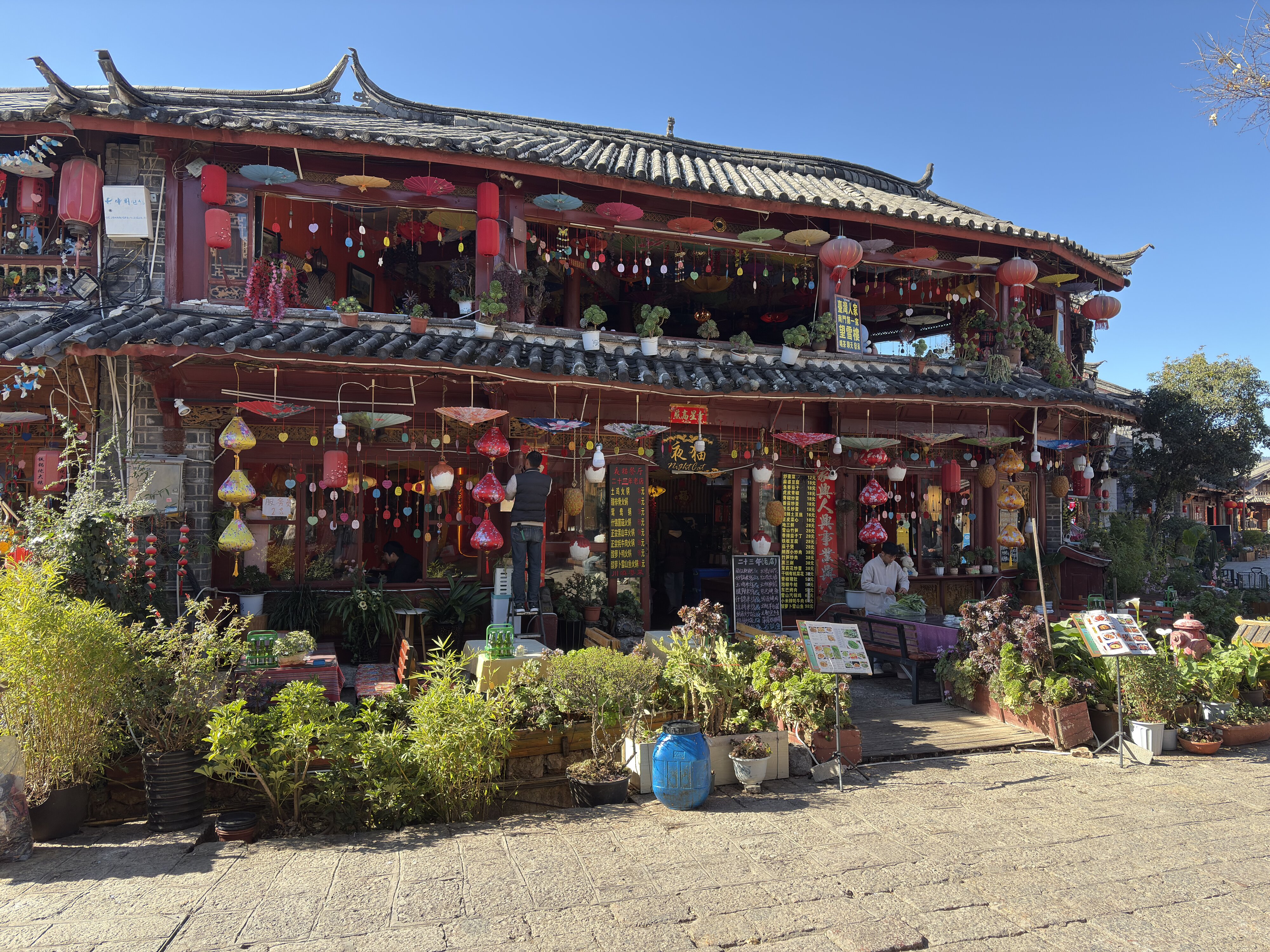 รูปถ่าย จีน(China) ลี่เจียง(Lijiang) 2026-01 167
