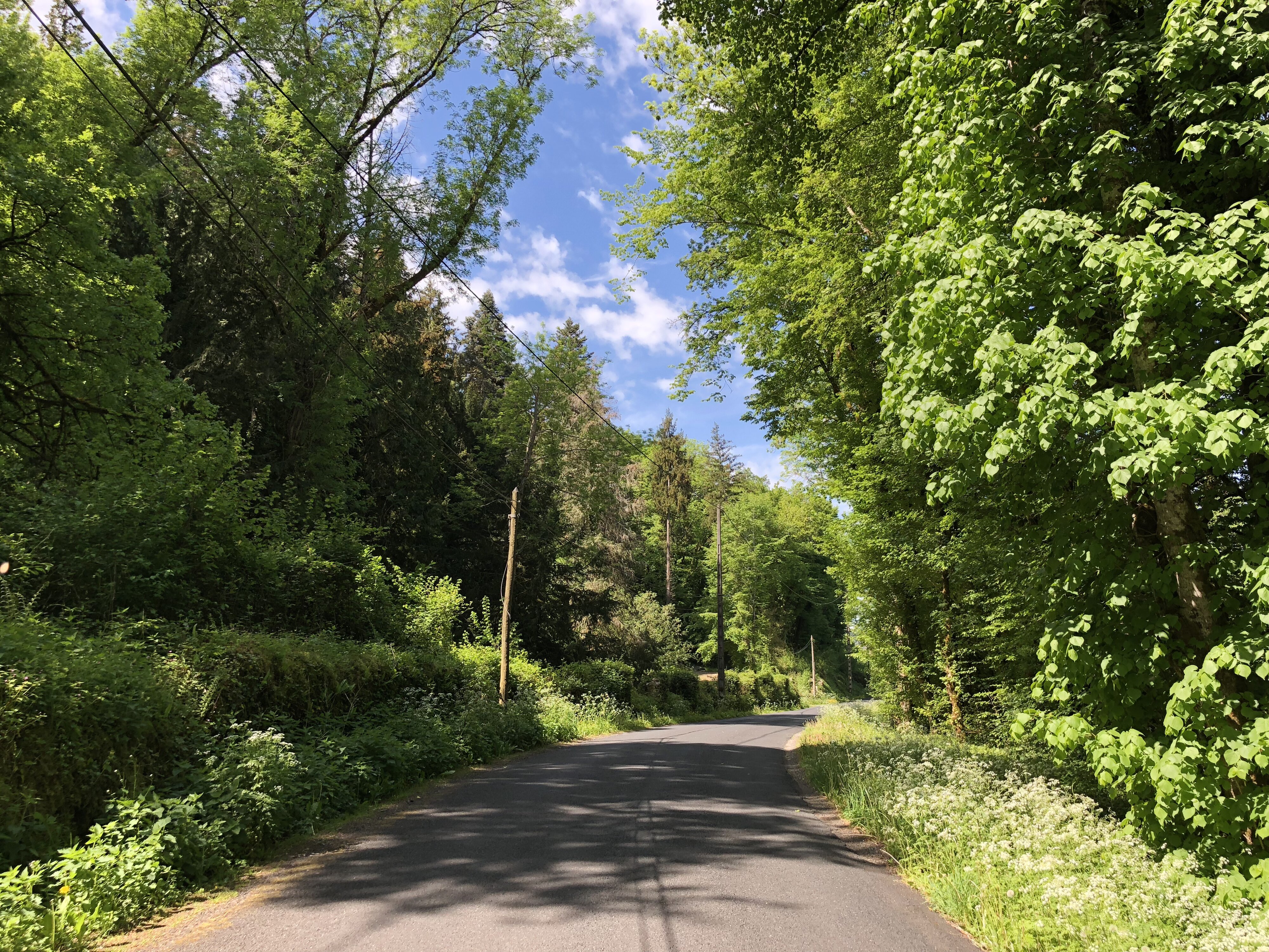 รูปถ่าย ฝรั่งเศส(France) ฟลัวรัก(Floirac) 2018-04 133