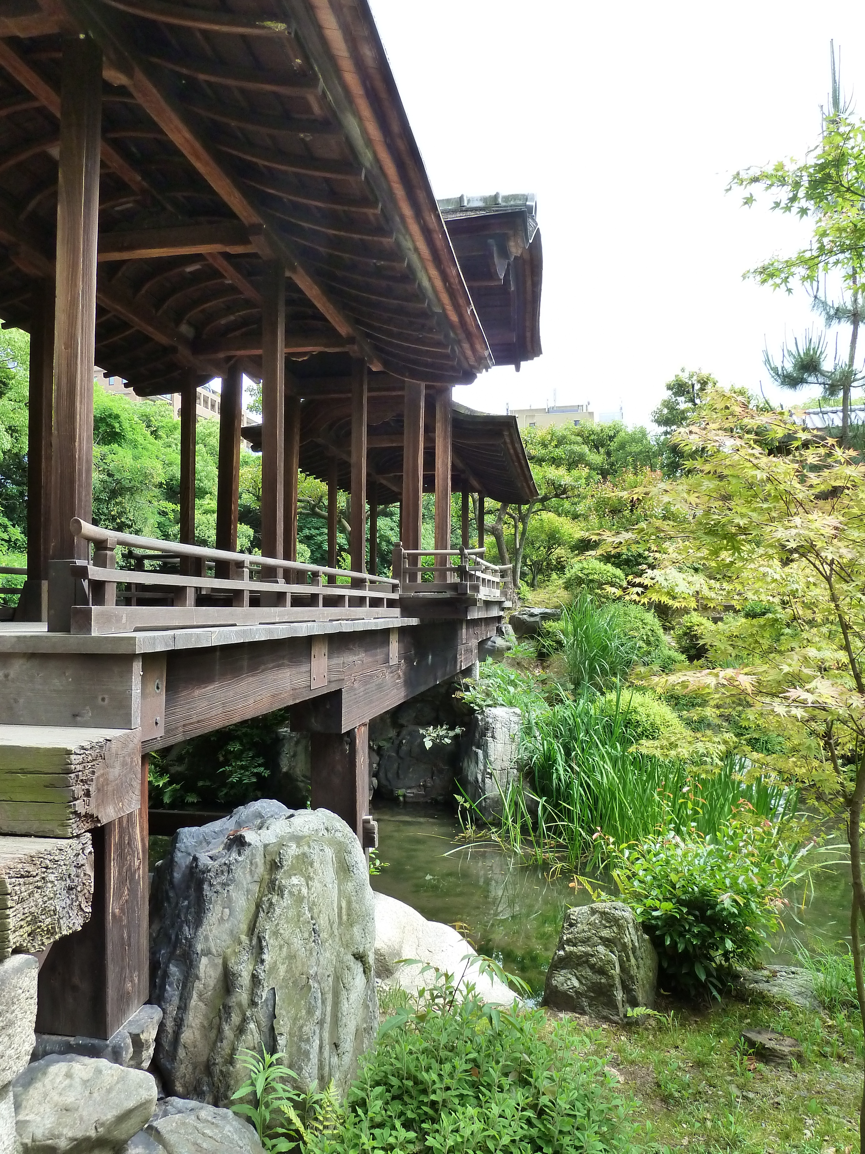 รูปถ่าย ญี่ปุ่น(Japan) เกียวโต(Kyoto) สวนโชเซเอ็ง(Shosei en Garden) 2010-06 24