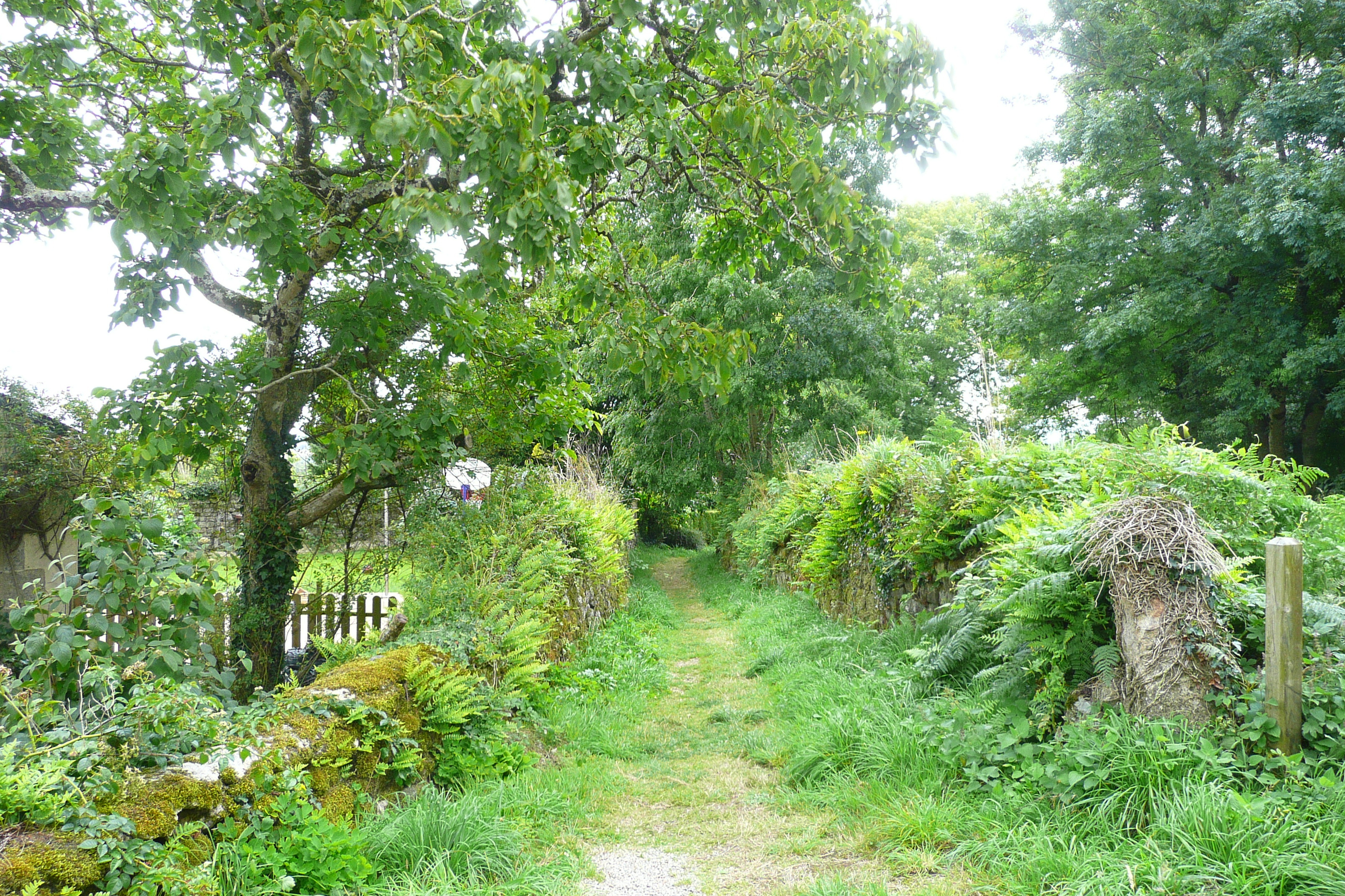 รูปถ่าย ฝรั่งเศส(France) ล็อกโรน็อง(Locronan) 2008-07 8