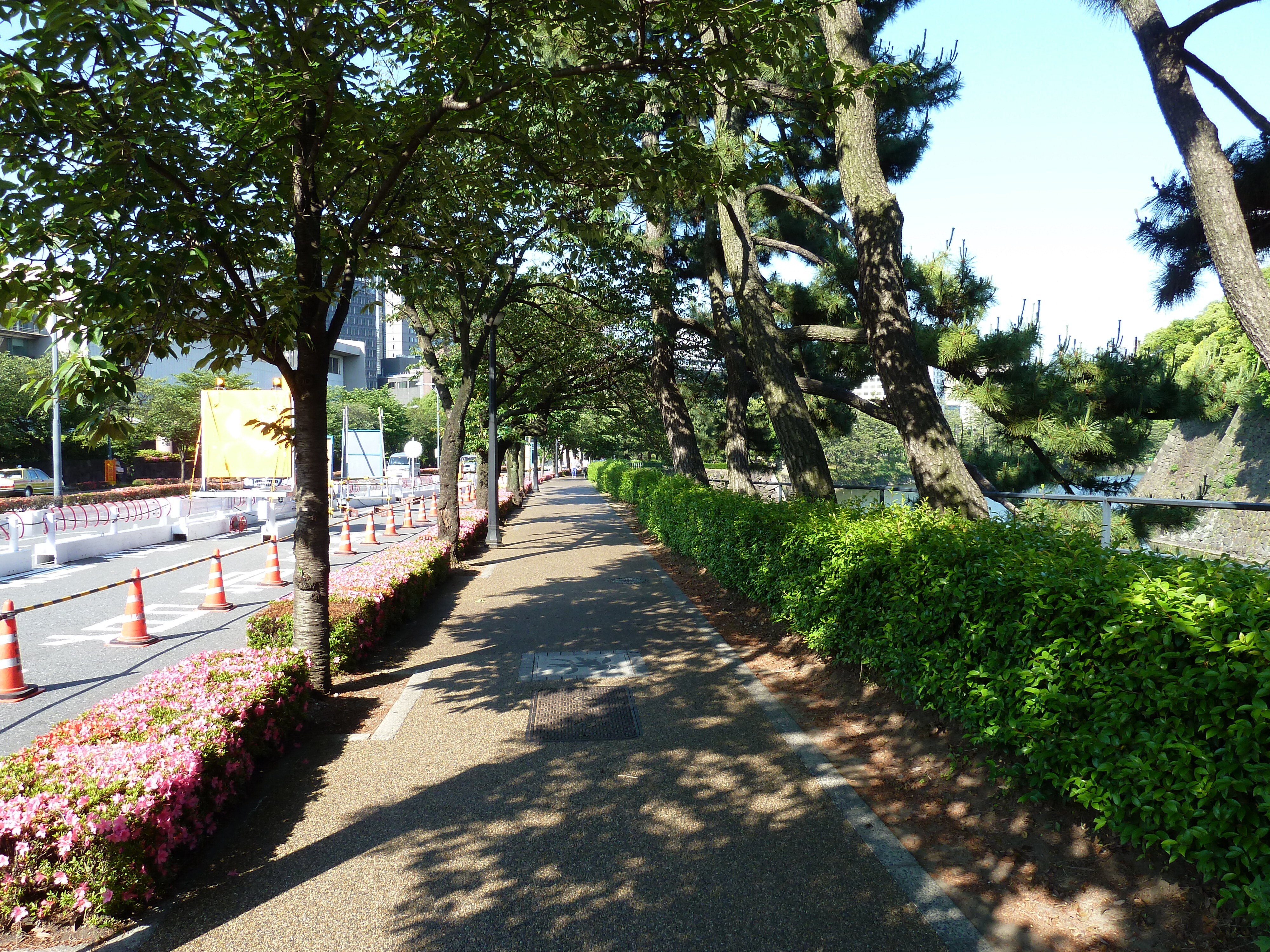 รูปถ่าย ญี่ปุ่น(Japan) โตเกียว(Tokyo) พระราชวังหลวง(Imperial Palace) 2010-06 34