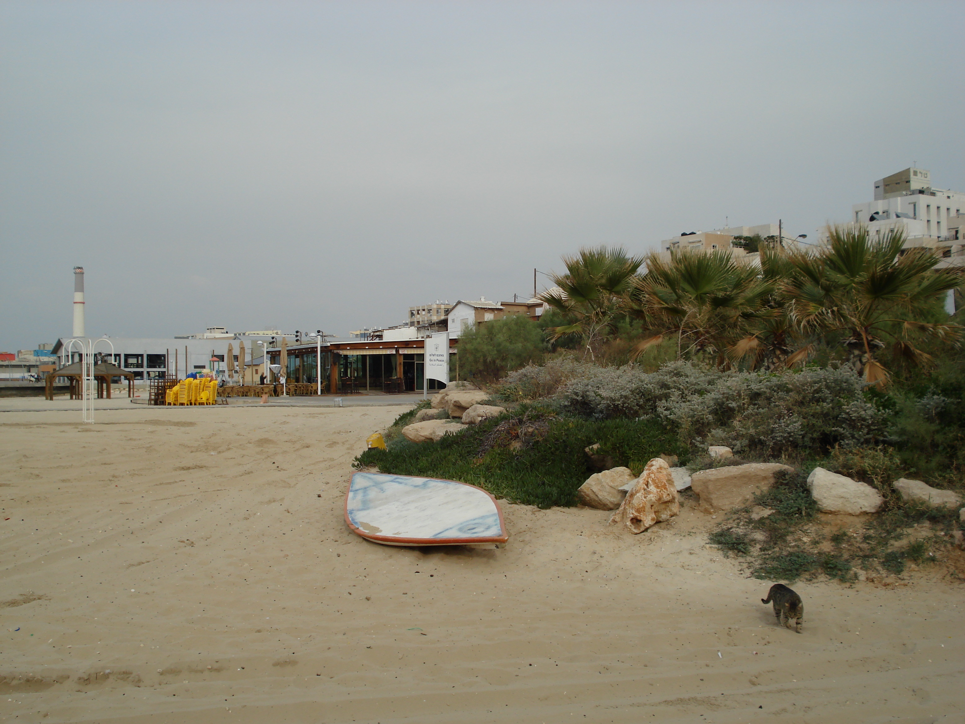 รูปถ่าย อิสราเอล(Israel) เทลอาวีฟ(Tel Aviv) ชายหาดเทลอาวีฟ(Tel Aviv Sea Shore) 2006-12 160