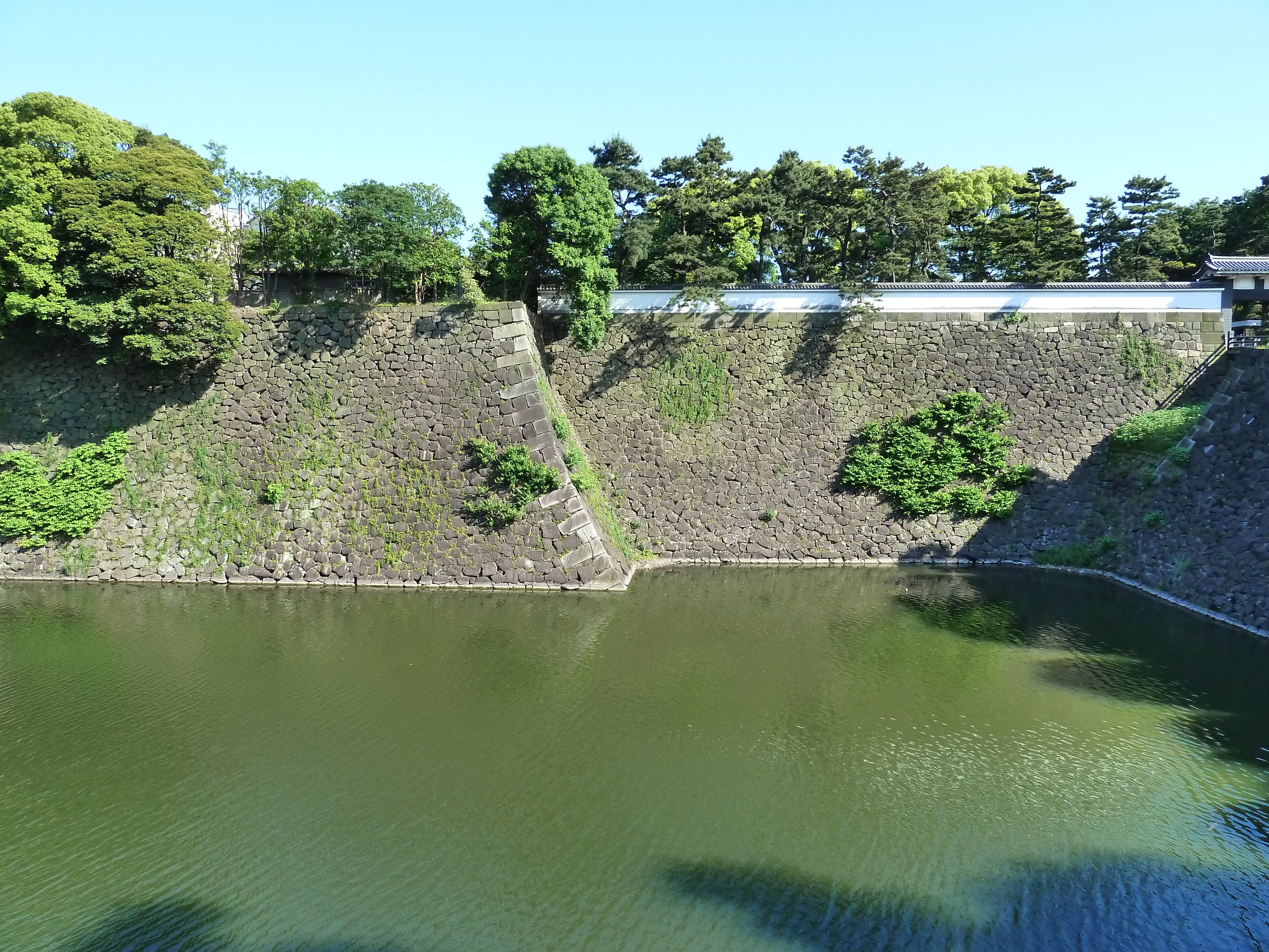 รูปถ่าย ญี่ปุ่น(Japan) โตเกียว(Tokyo) พระราชวังหลวง(Imperial Palace) 2010-06 21