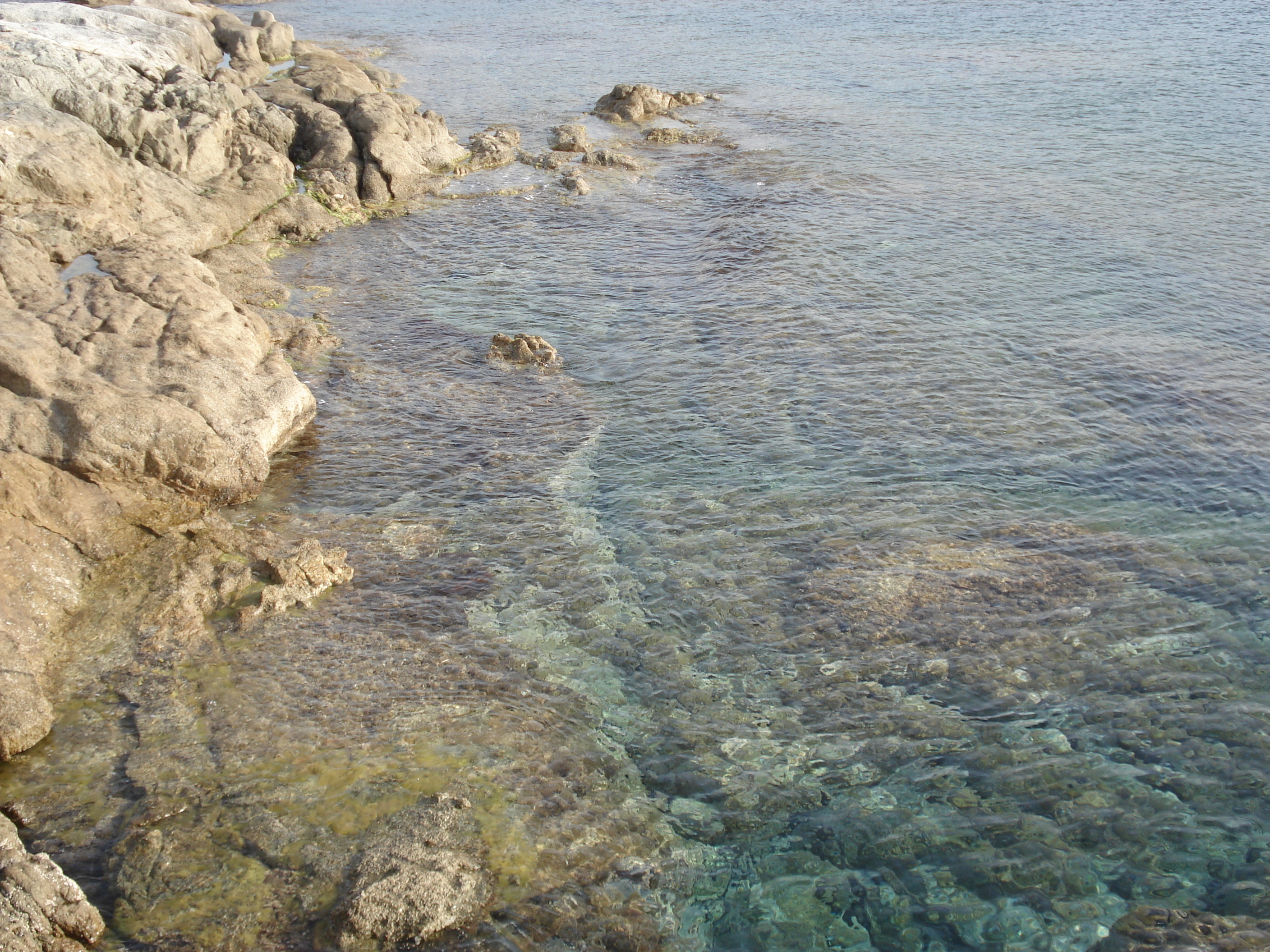 รูปถ่าย ฝรั่งเศส(France) คอร์สิคา(Corsica) ลูมิโอ่(Lumio) 2006-09 40