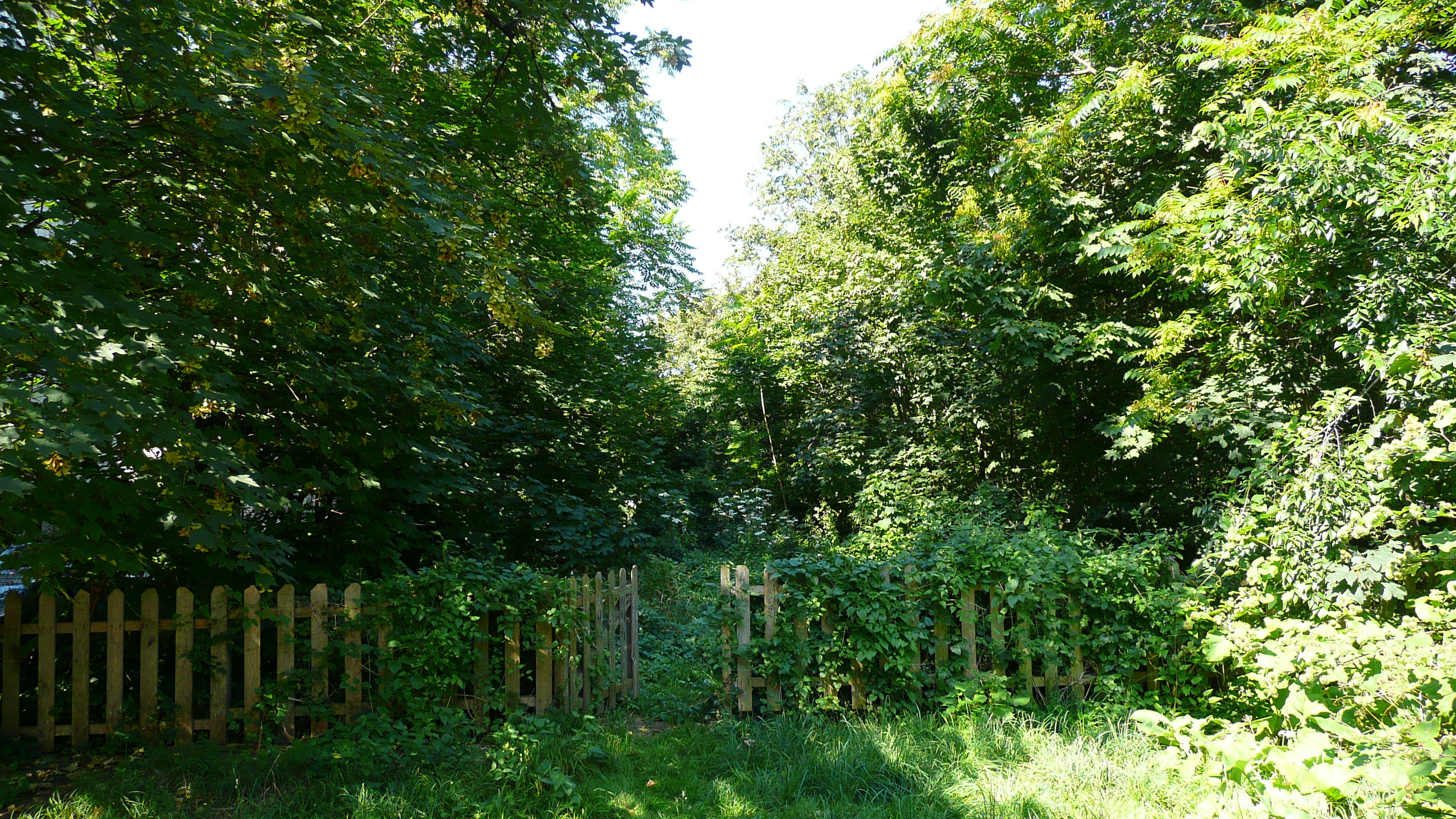 รูปถ่าย ฝรั่งเศส(France) ปารีส(Paris) สวนราเนอลาก(Jardins du Ranelagh) 2007-08 3