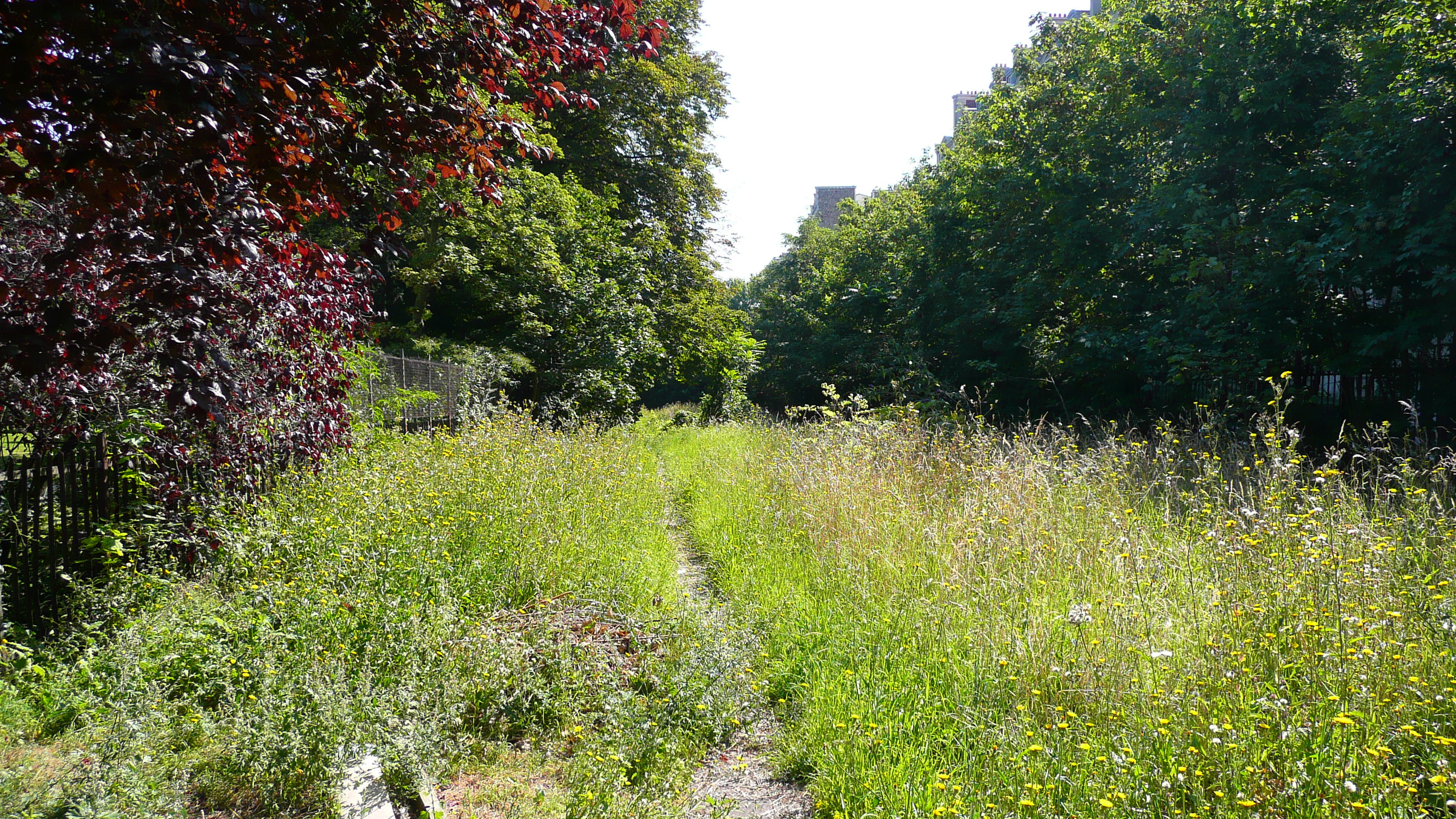 รูปถ่าย ฝรั่งเศส(France) ปารีส(Paris) สวนราเนอลาก(Jardins du Ranelagh) 2007-08 10