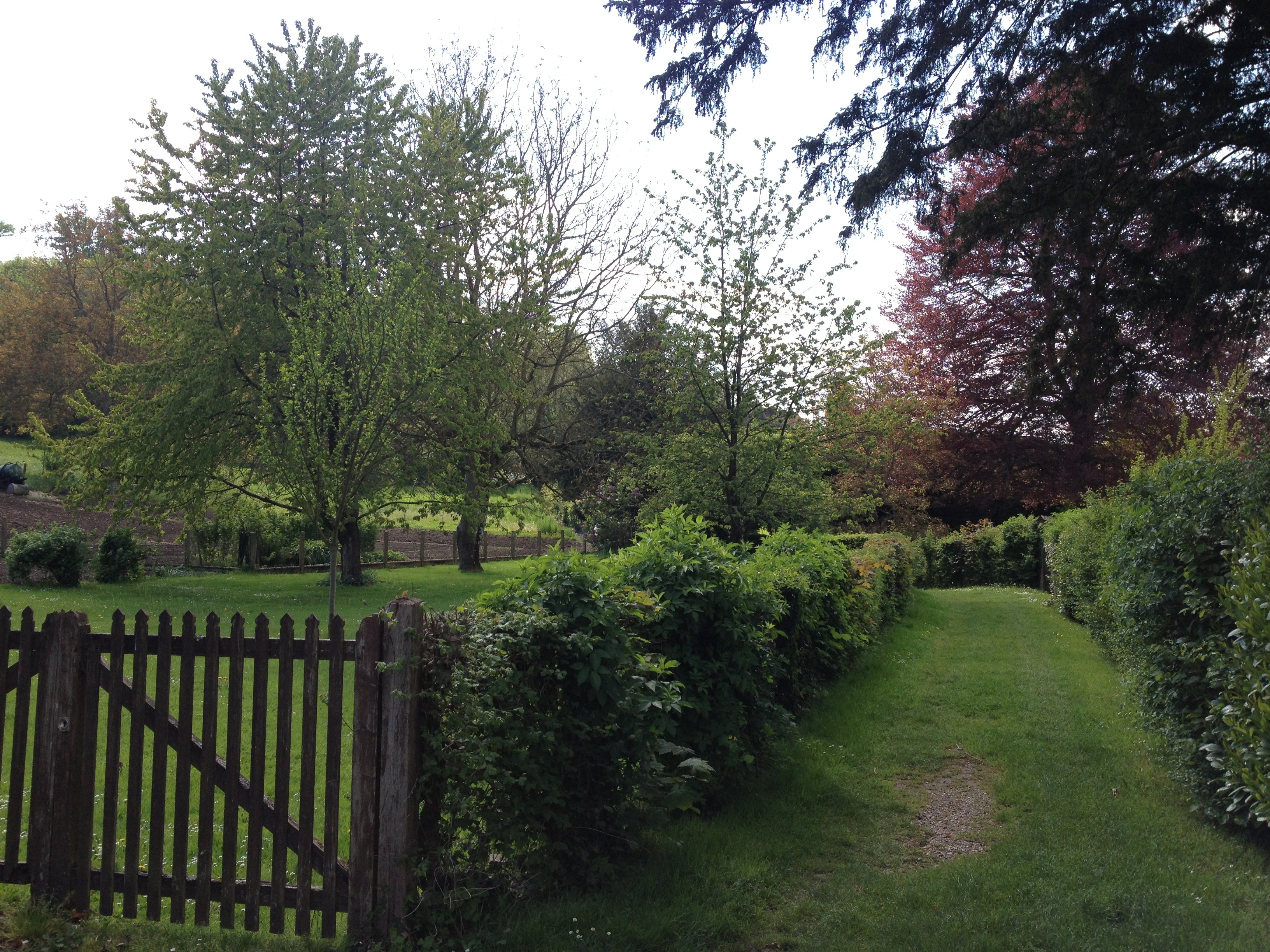 รูปถ่าย ฝรั่งเศส(France) ลียงส์-ลา-ฟอแร(Lyons La Foret) 2014-05 29
