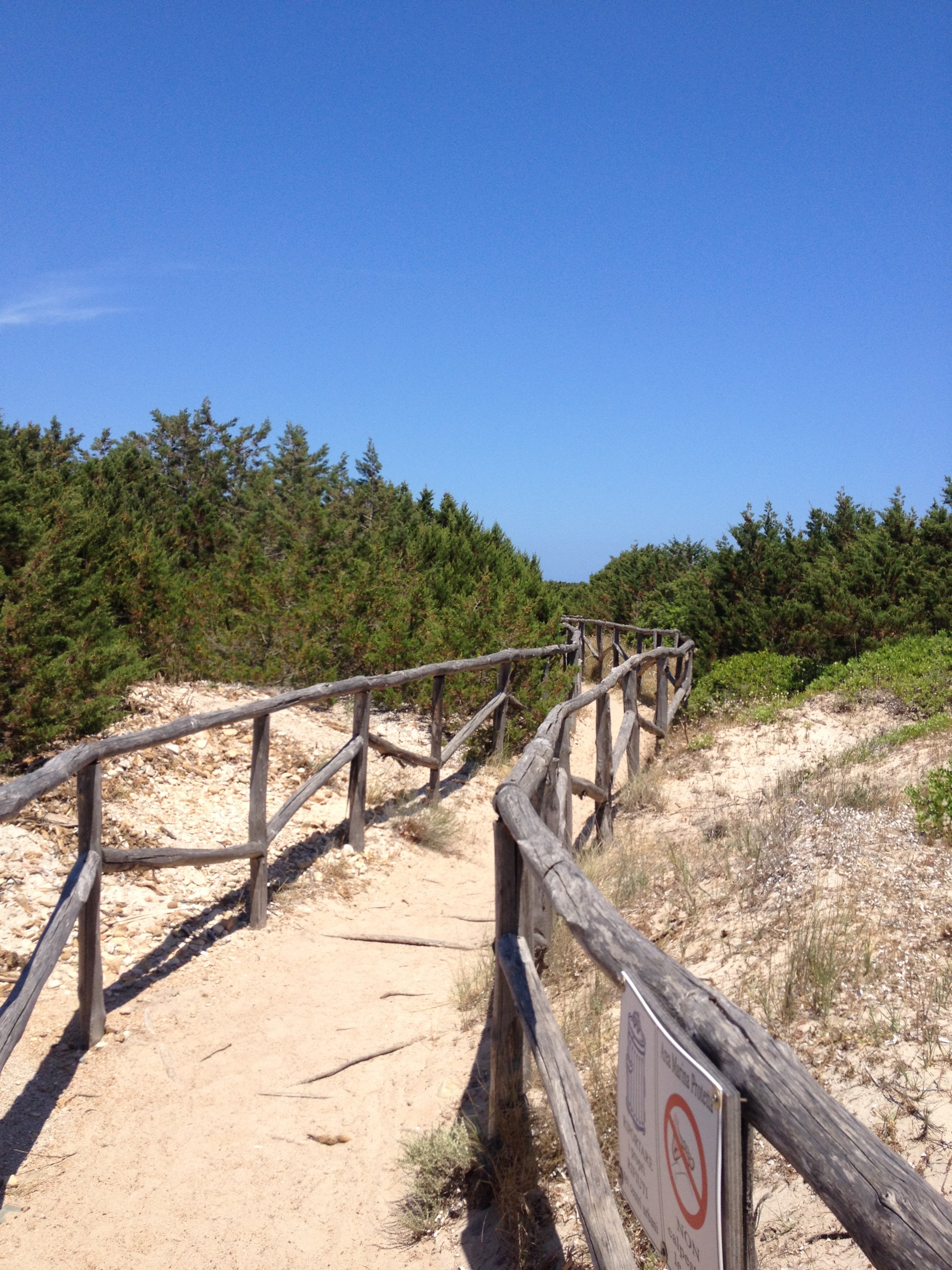 รูปถ่าย อิตาลี(Italy) ซาร์ดิเนีย(Sardinia) แหลมกาโปโกดากาวัลโล(Capo Coda Cavallo) 2015-06 58