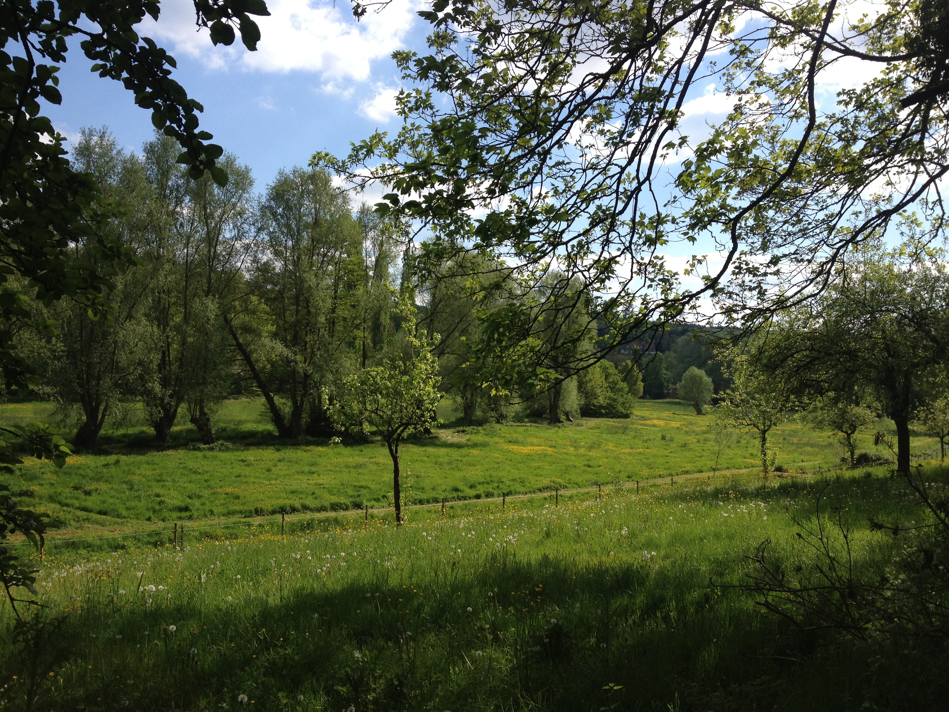 รูปถ่าย ฝรั่งเศส(France) ลียงส์-ลา-ฟอแร(Lyons La Foret) 2014-05 76