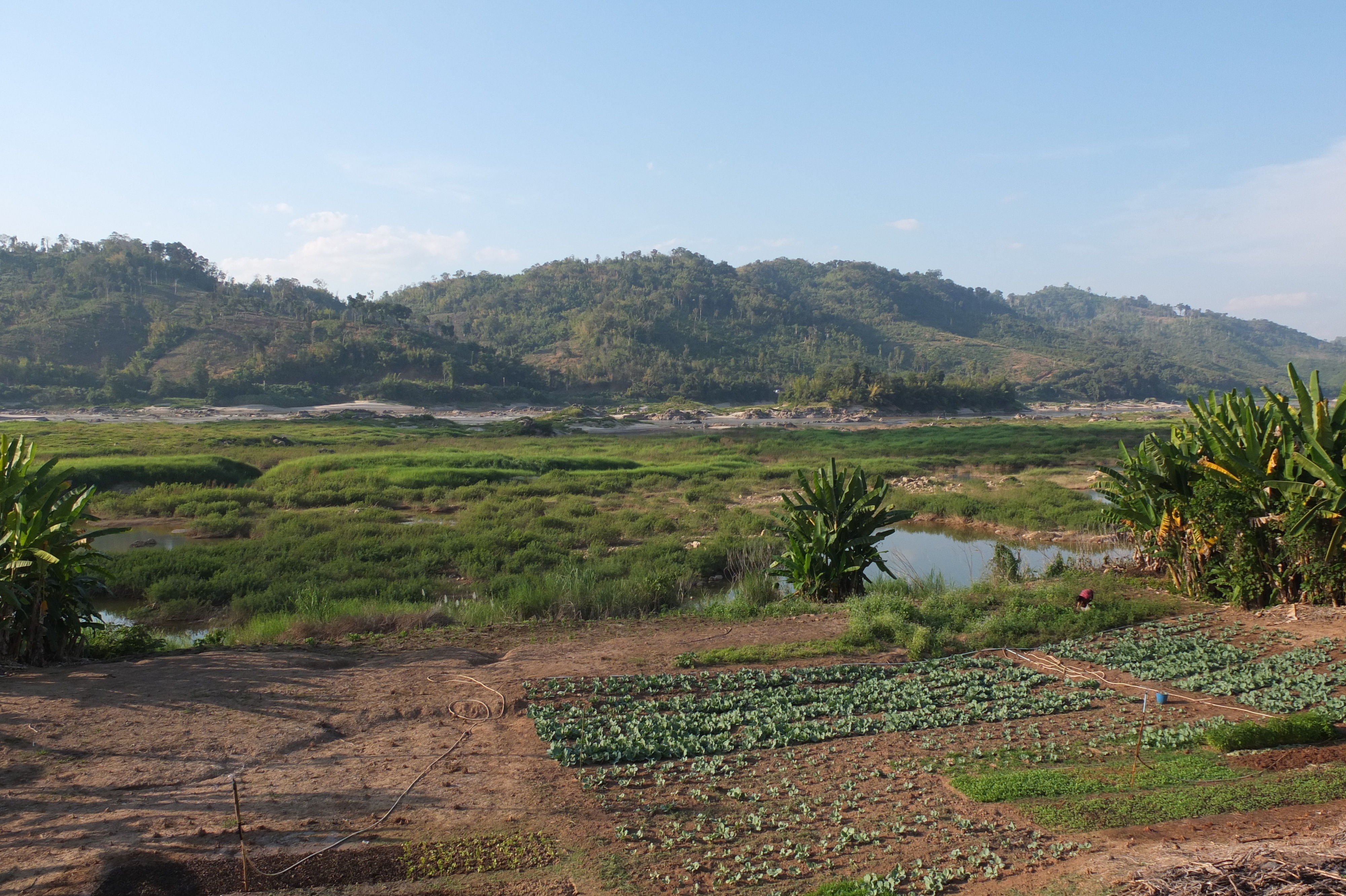 รูปถ่าย ไทย(Thailand) แม่น้ำโขง(Mekong river) 2012-12 120