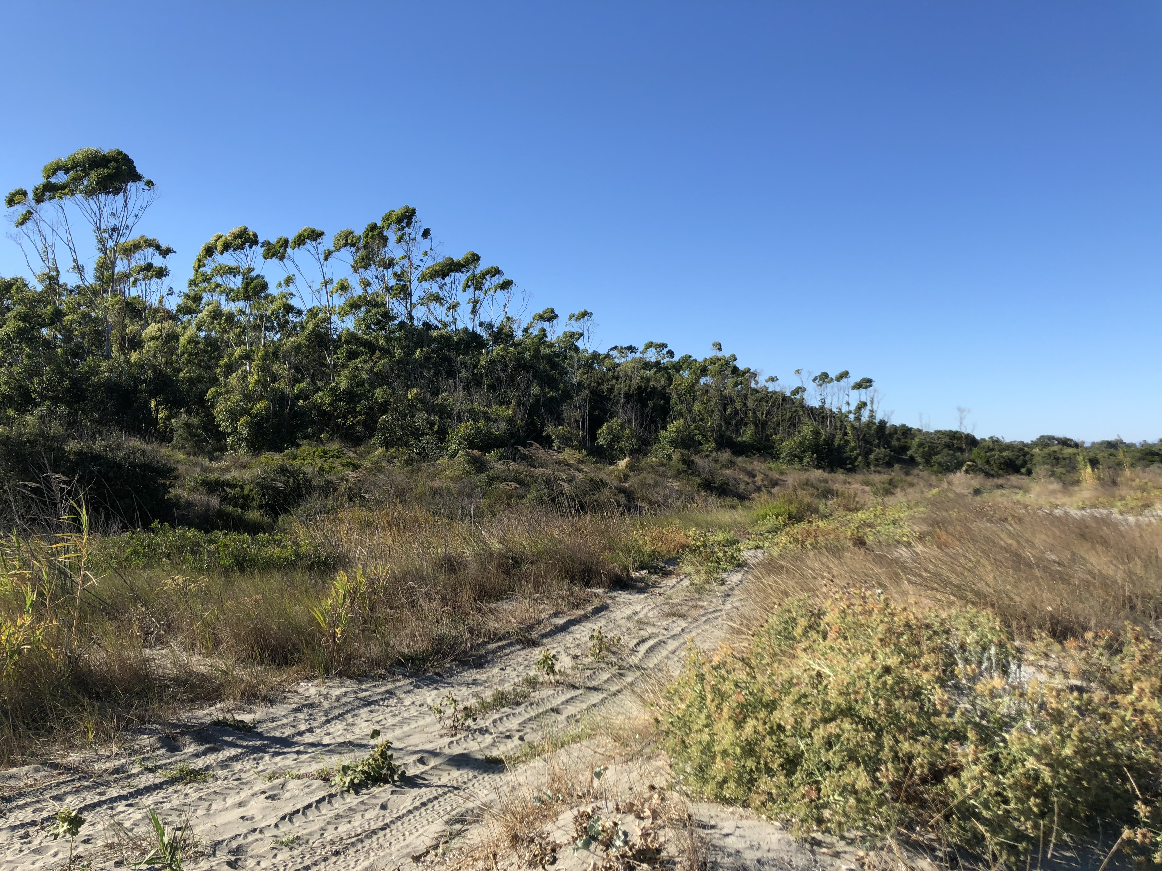 รูปถ่าย ฝรั่งเศส(France) คอร์สิคา(Corsica) ซานจูเลียโน(San Giuliano) 2018-09 24