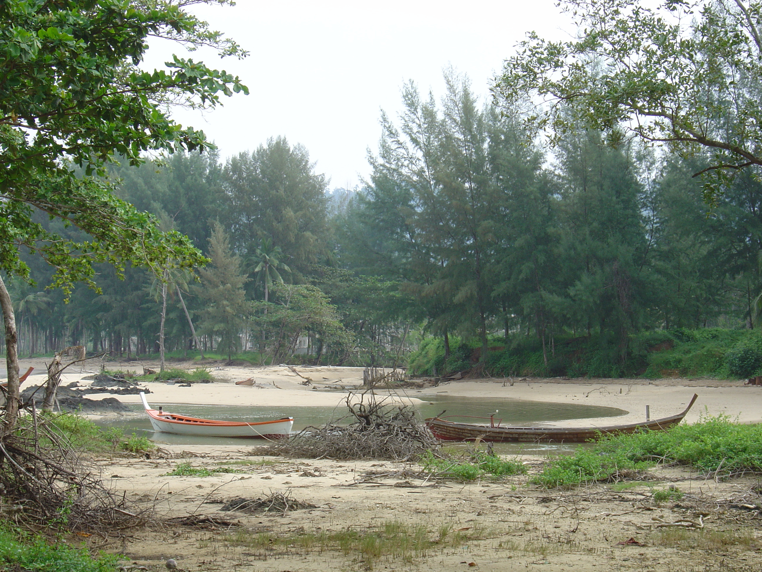 รูปถ่าย ไทย(Thailand) เขาหลัก(Khao Lak) หาดบางสัก(Bang Sak Beach) 2005-12 56
