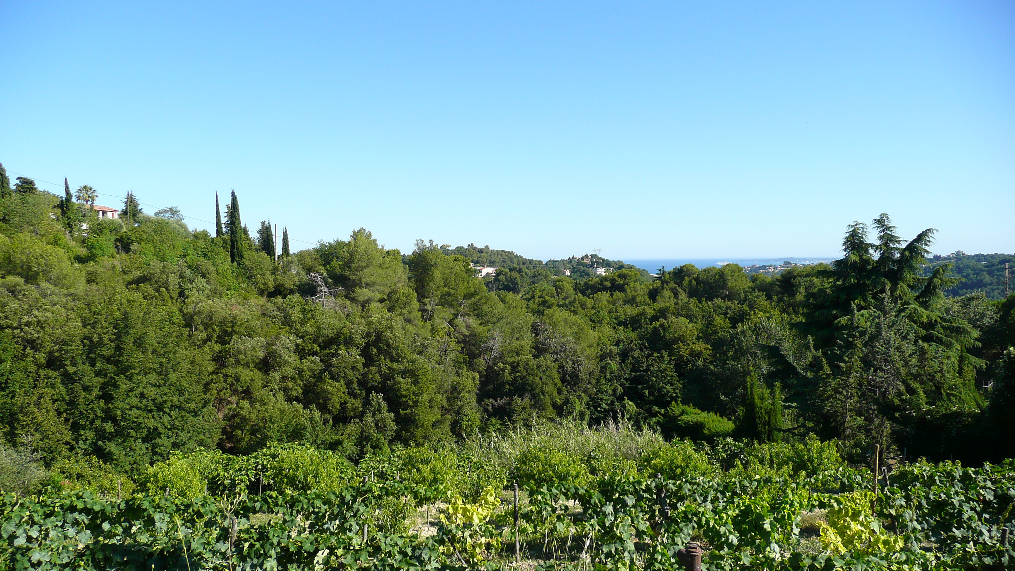 รูปถ่าย ฝรั่งเศส(France) ลาโกด(La Gaude) 2007-07 71