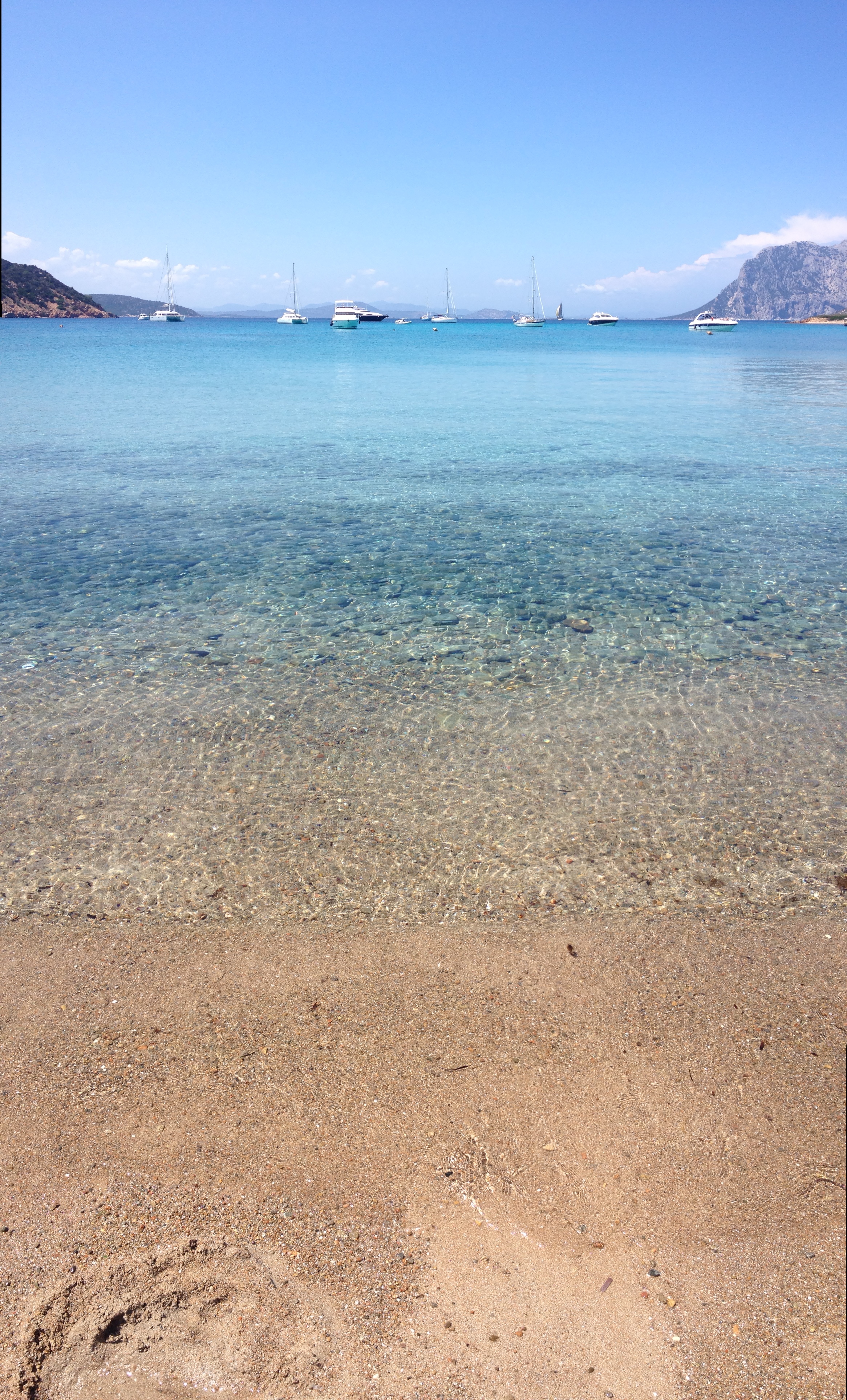 รูปถ่าย อิตาลี(Italy) ซาร์ดิเนีย(Sardinia) แหลมกาโปโกดากาวัลโล(Capo Coda Cavallo) 2015-06 74