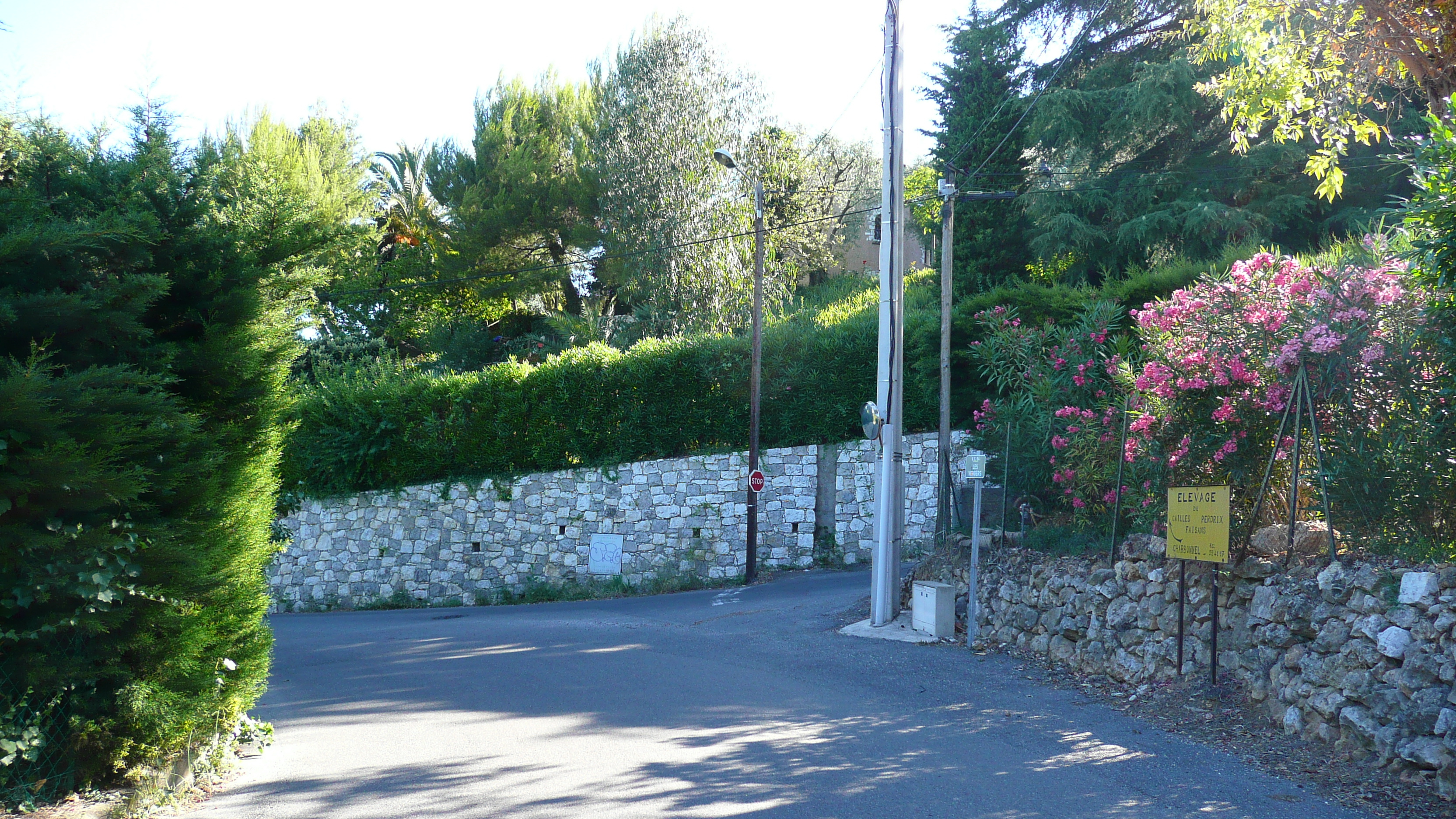 รูปถ่าย ฝรั่งเศส(France) ลาโกด(La Gaude) 2007-07 66
