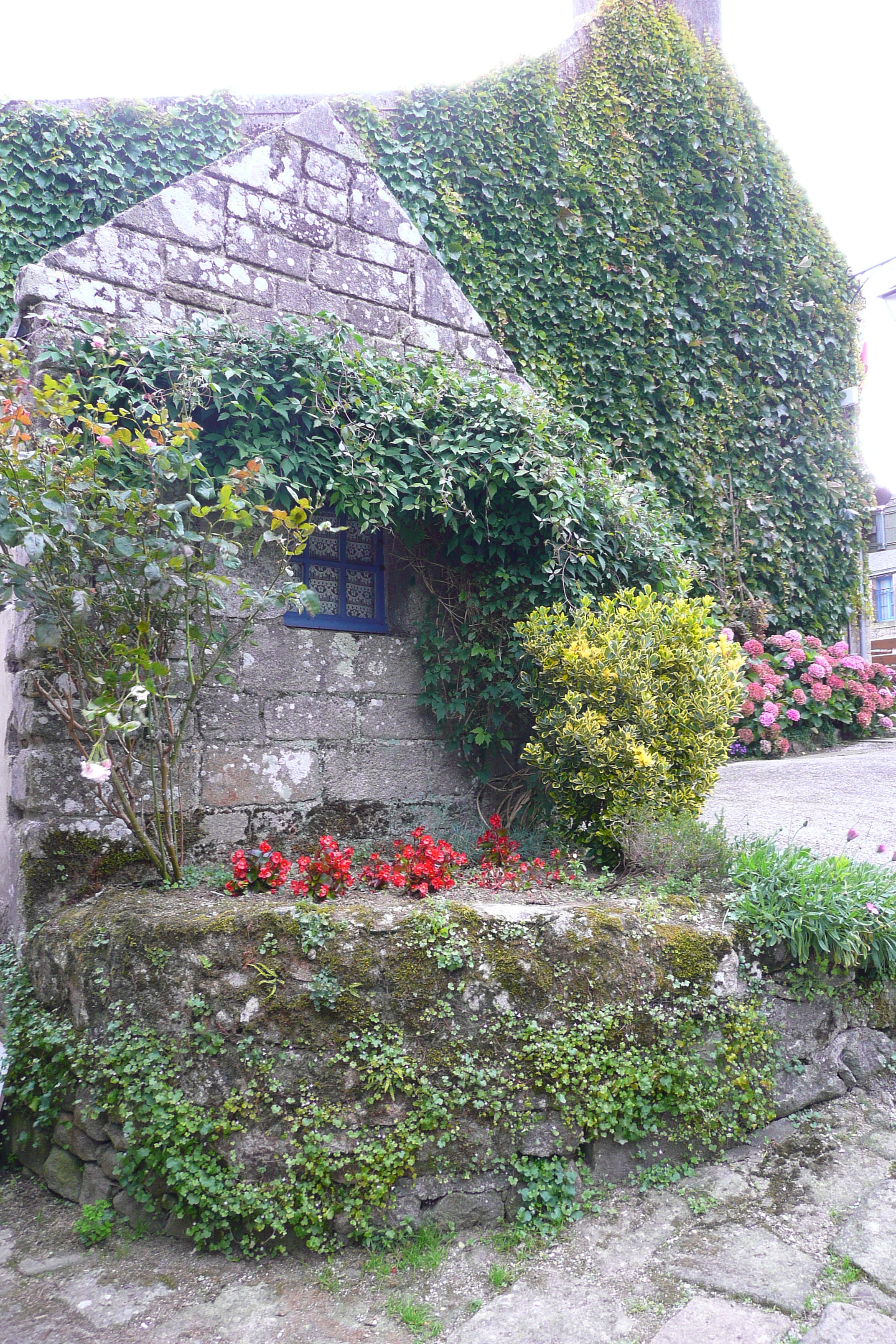 รูปถ่าย ฝรั่งเศส(France) ล็อกโรน็อง(Locronan) 2008-07 60