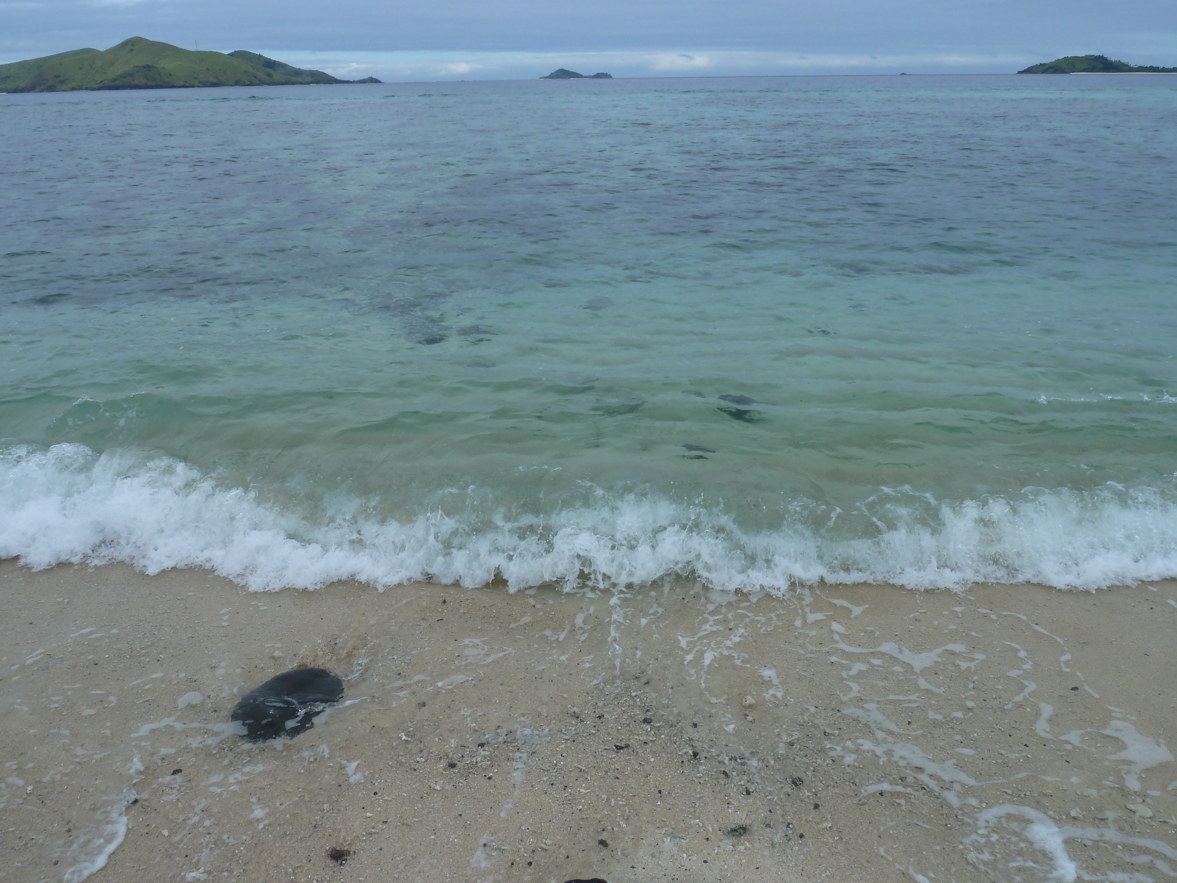 รูปถ่าย ฟิจิ(Fiji) รีสอร์ตเกาะอามูนูกา(Amunuca Island Resort) 2010-05 136
