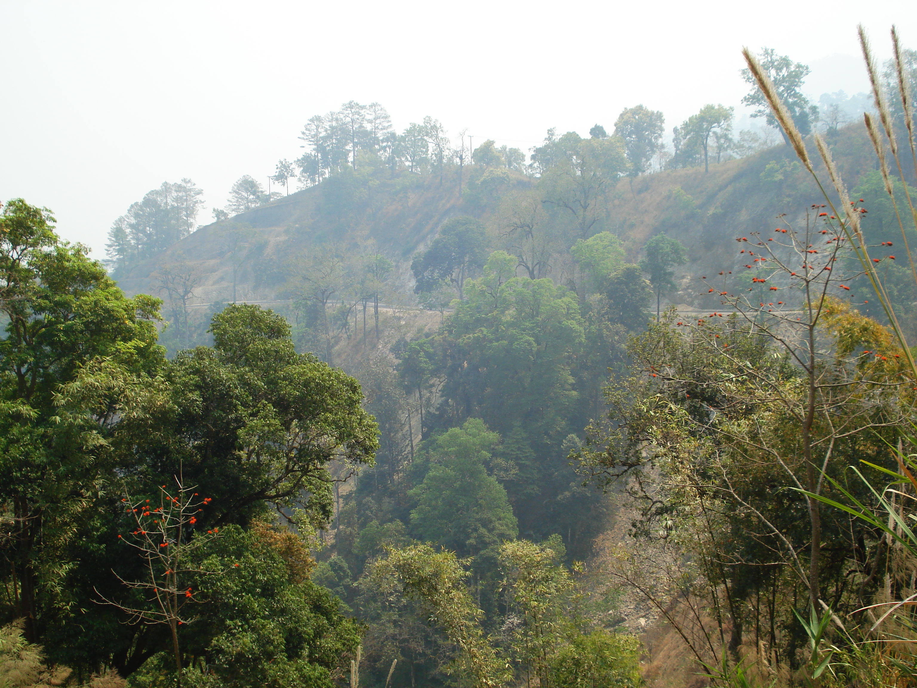 รูปถ่าย ไทย(Thailand) ถนนจากปางมะผ้าไปปาย(Pang Mapha to Pai road) 2007-02 67