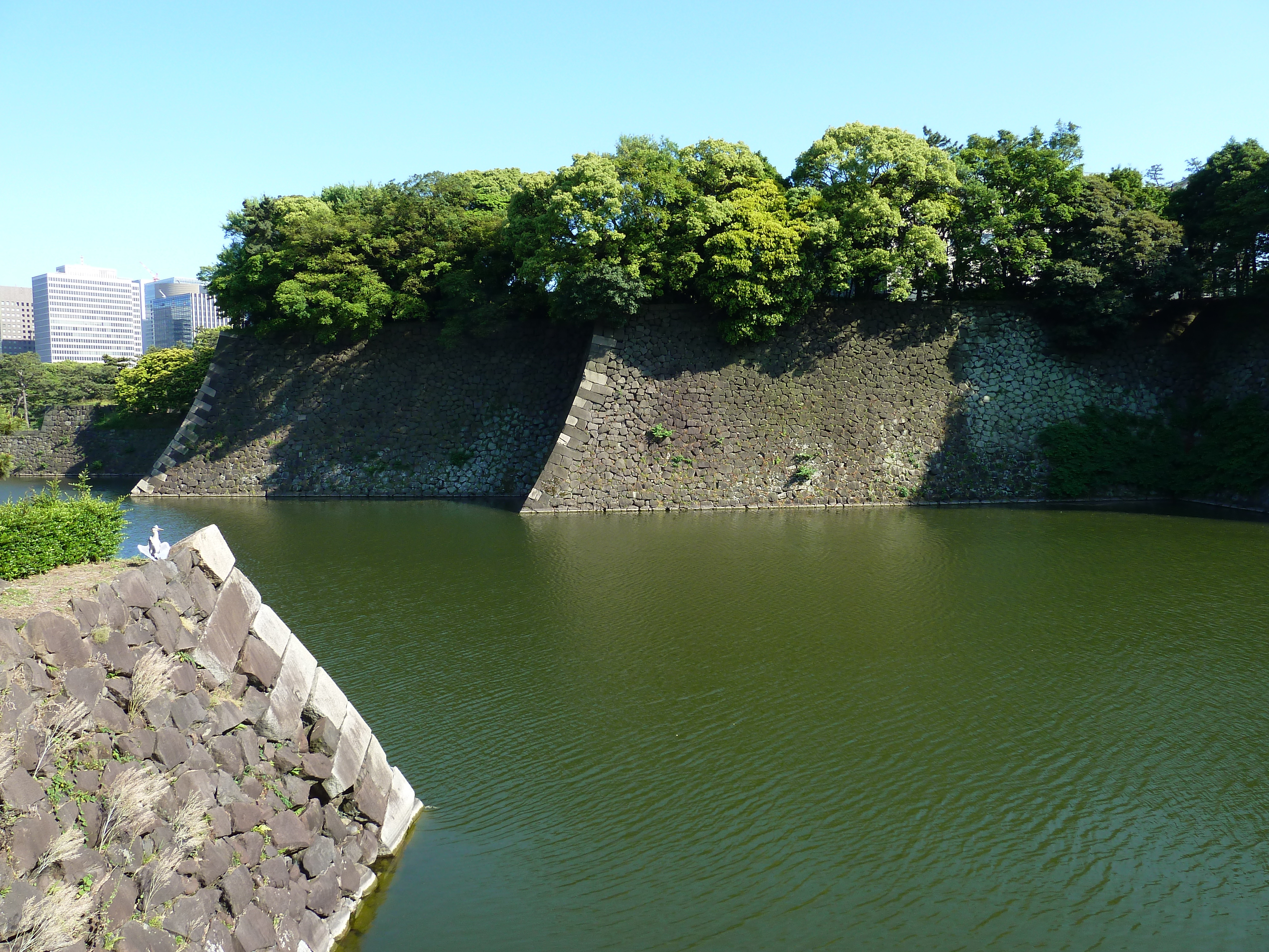 รูปถ่าย ญี่ปุ่น(Japan) โตเกียว(Tokyo) พระราชวังหลวง(Imperial Palace) 2010-06 4