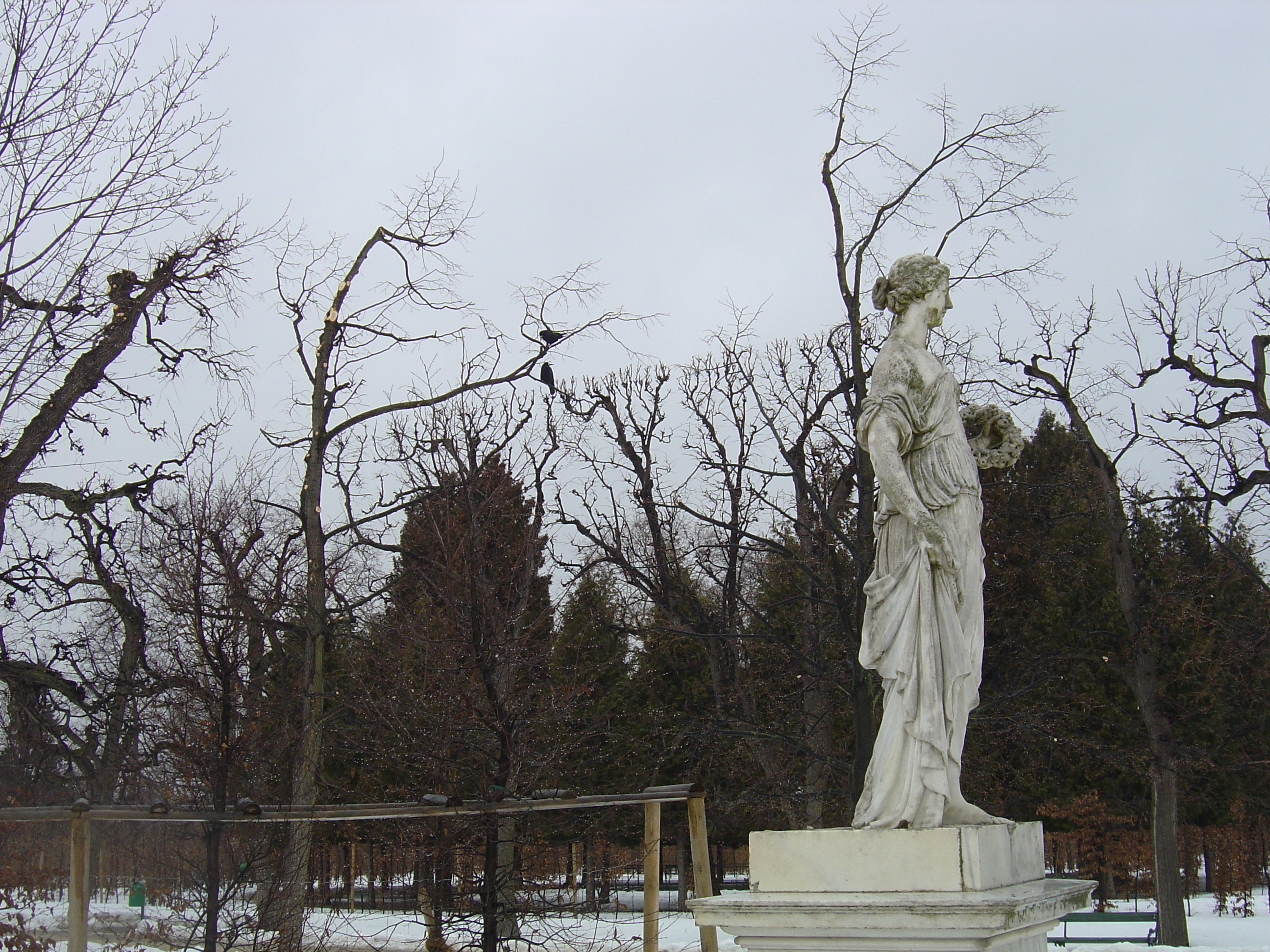 รูปถ่าย ออสเตรีย(Austria) เวียนนา(Vienna) 2005-03 37