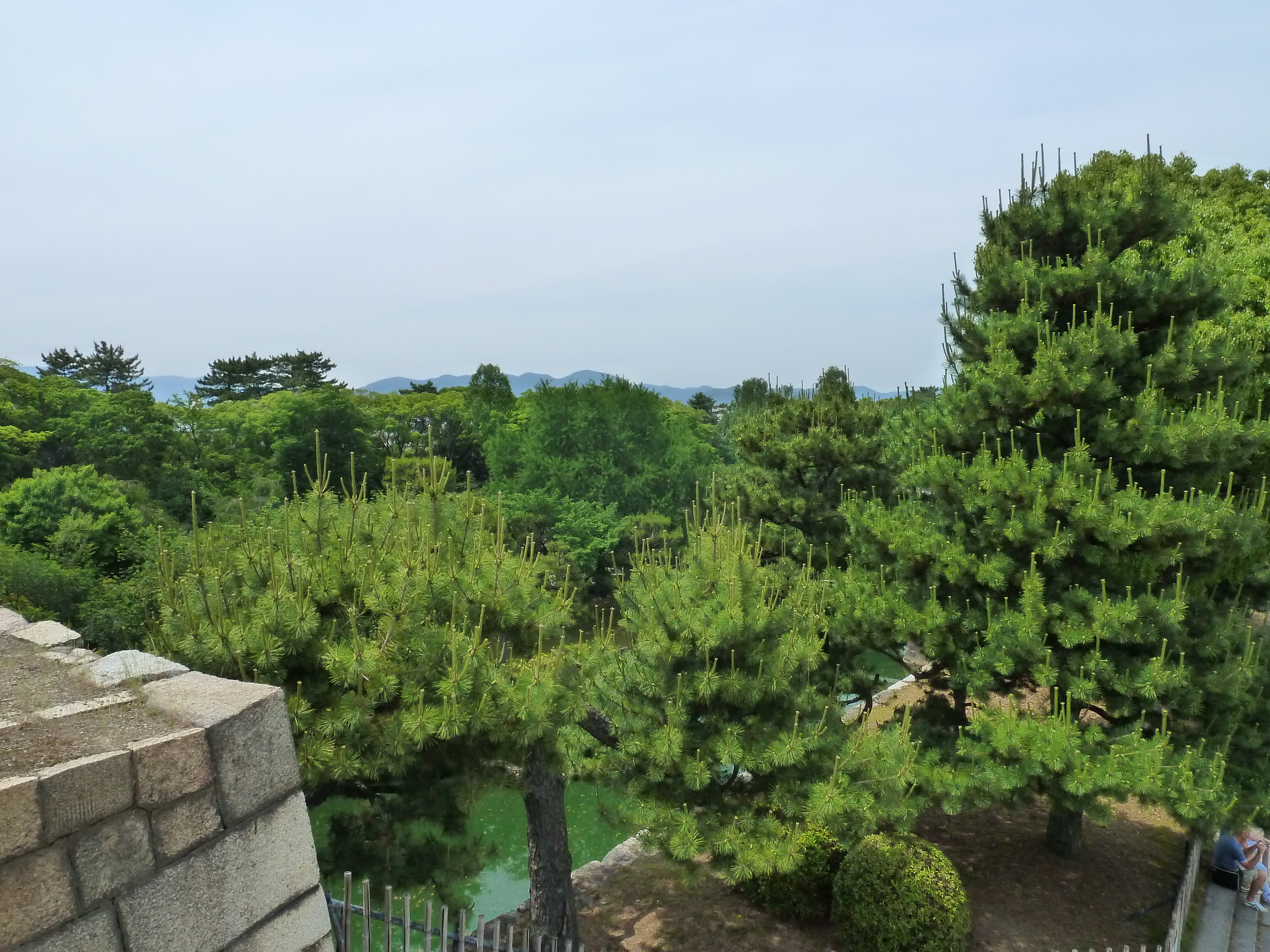 รูปถ่าย ญี่ปุ่น(Japan) เกียวโต(Kyoto) ปราสาทนิโจ(Nijo Castle) พระราชวังฮมมะรุ(Honmaru Palace) 2010-06 14