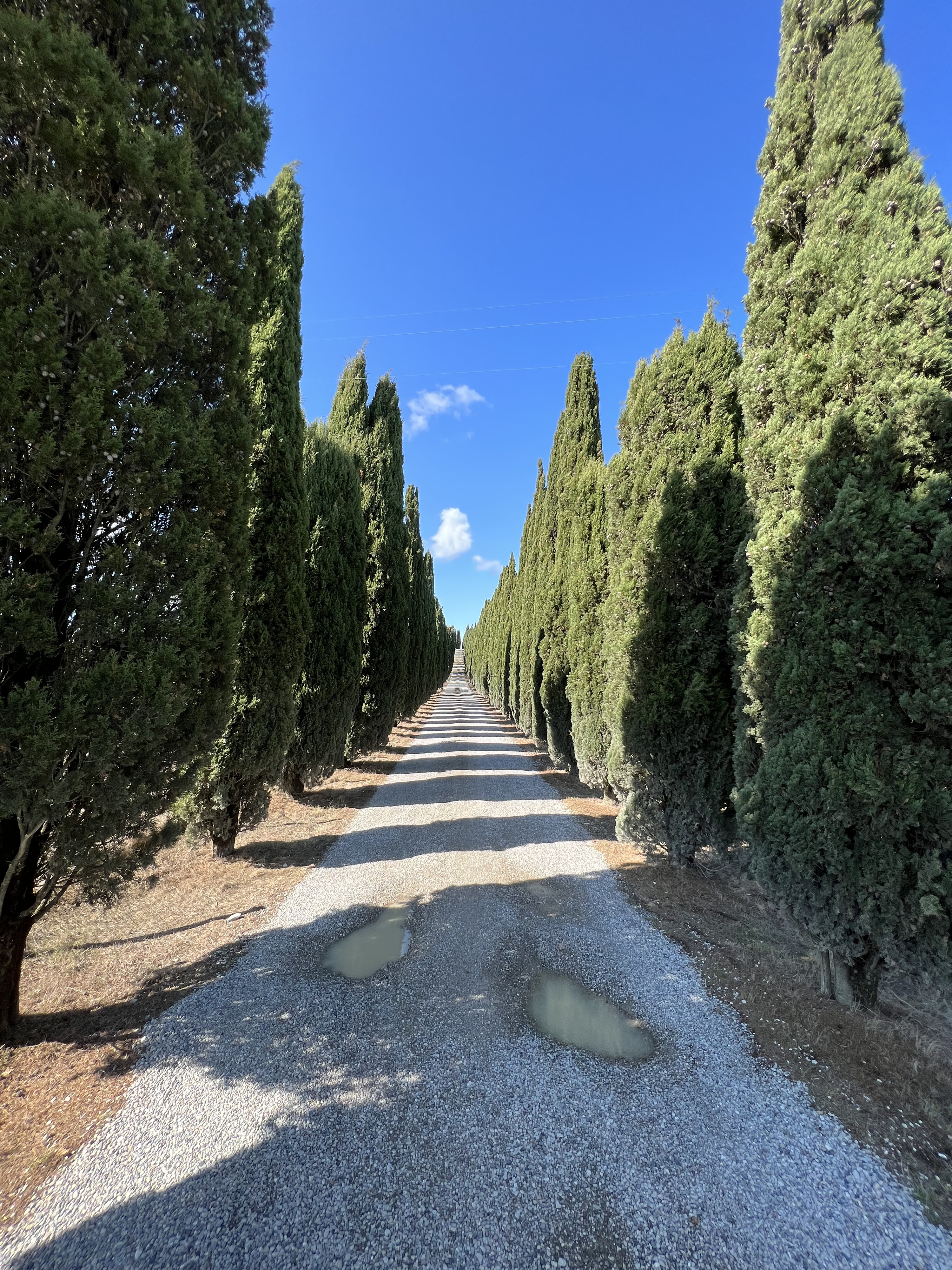 รูปถ่าย อิตาลี(Italy) ทัสคานี(Tuscany) 2021-09 27