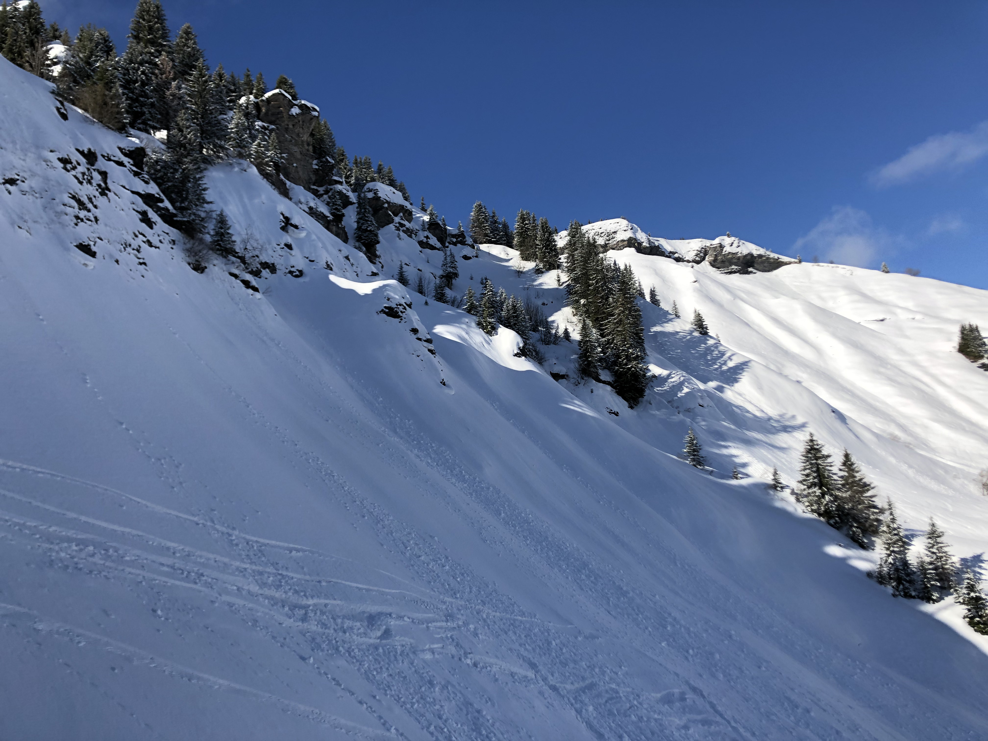 รูปถ่าย ฝรั่งเศส(France) เมแฌฟว์(Megeve) 2019-03 55