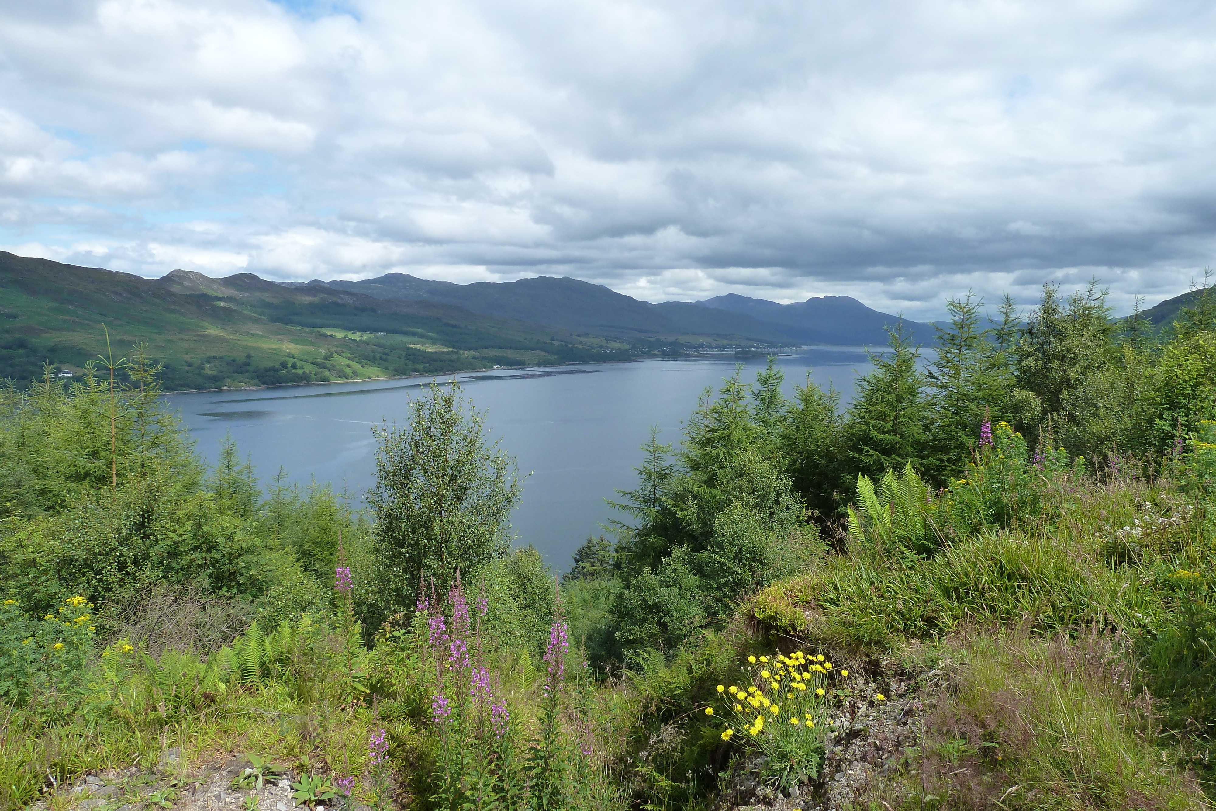 รูปถ่าย อังกฤษ(United Kingdom) เวสเตอร์รอสส์(Wester Ross) 2011-07 41