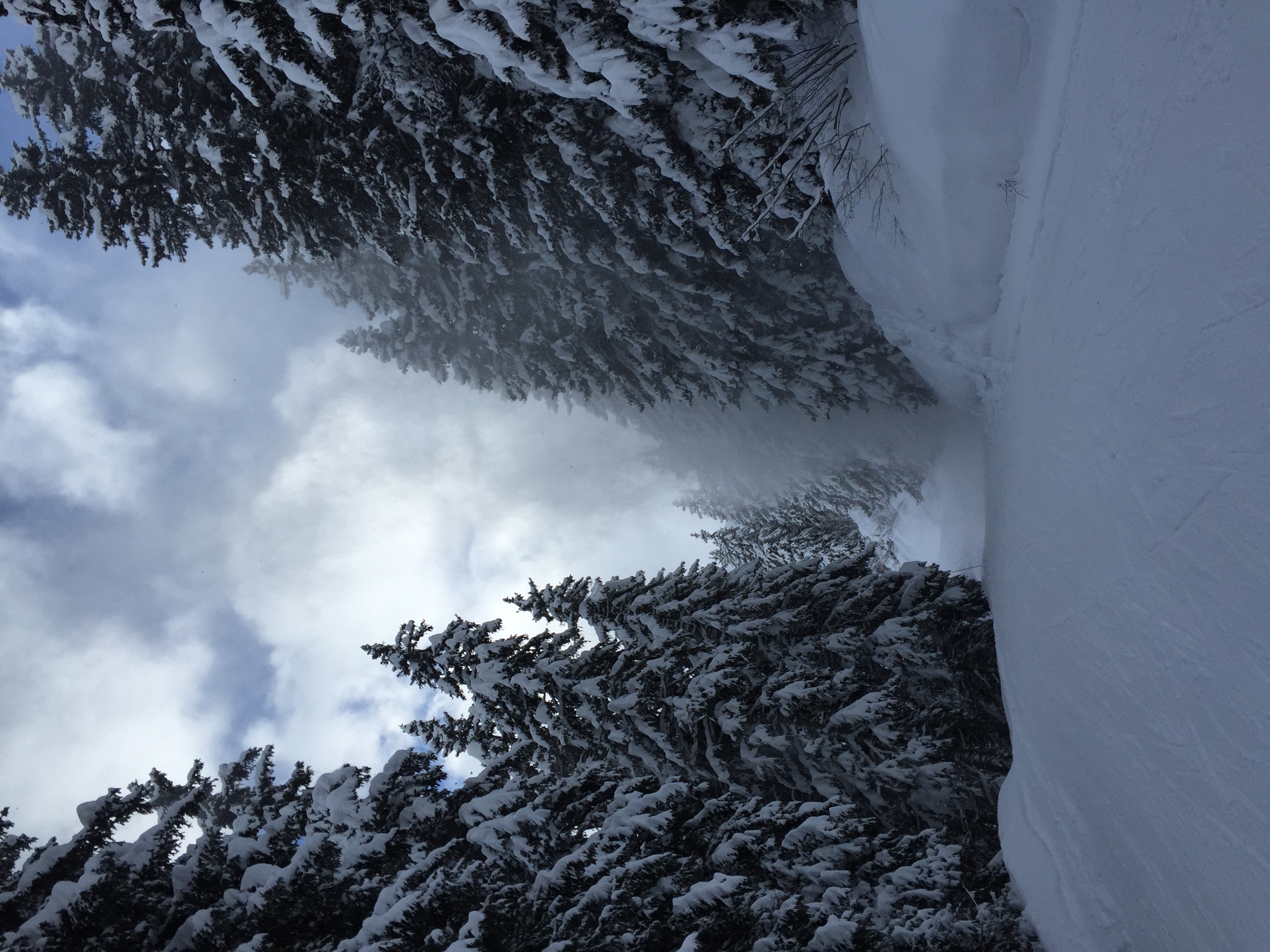 รูปถ่าย ฝรั่งเศส(France) เมแฌฟว์(Megeve) 2016-02 72