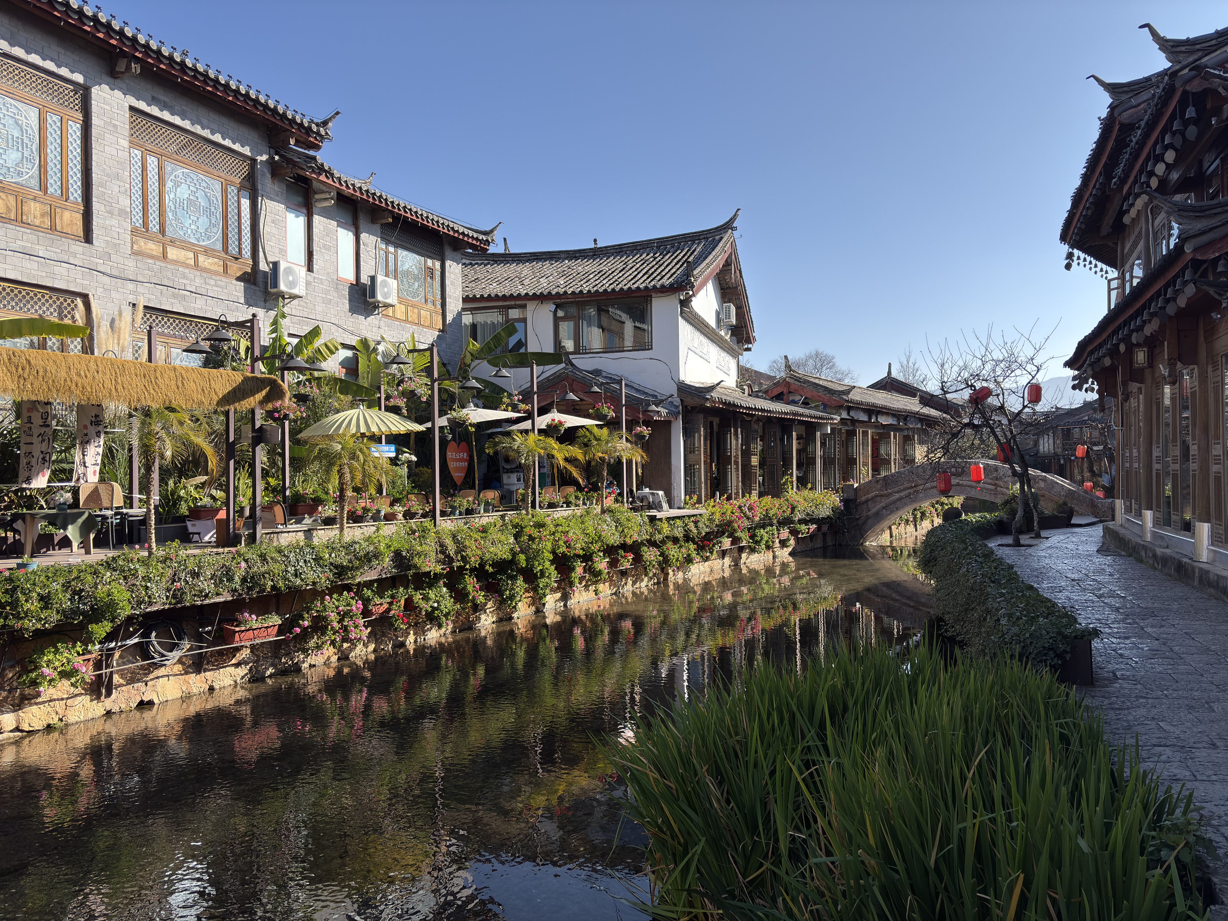 รูปถ่าย จีน(China) ลี่เจียง(Lijiang) 2026-01 459