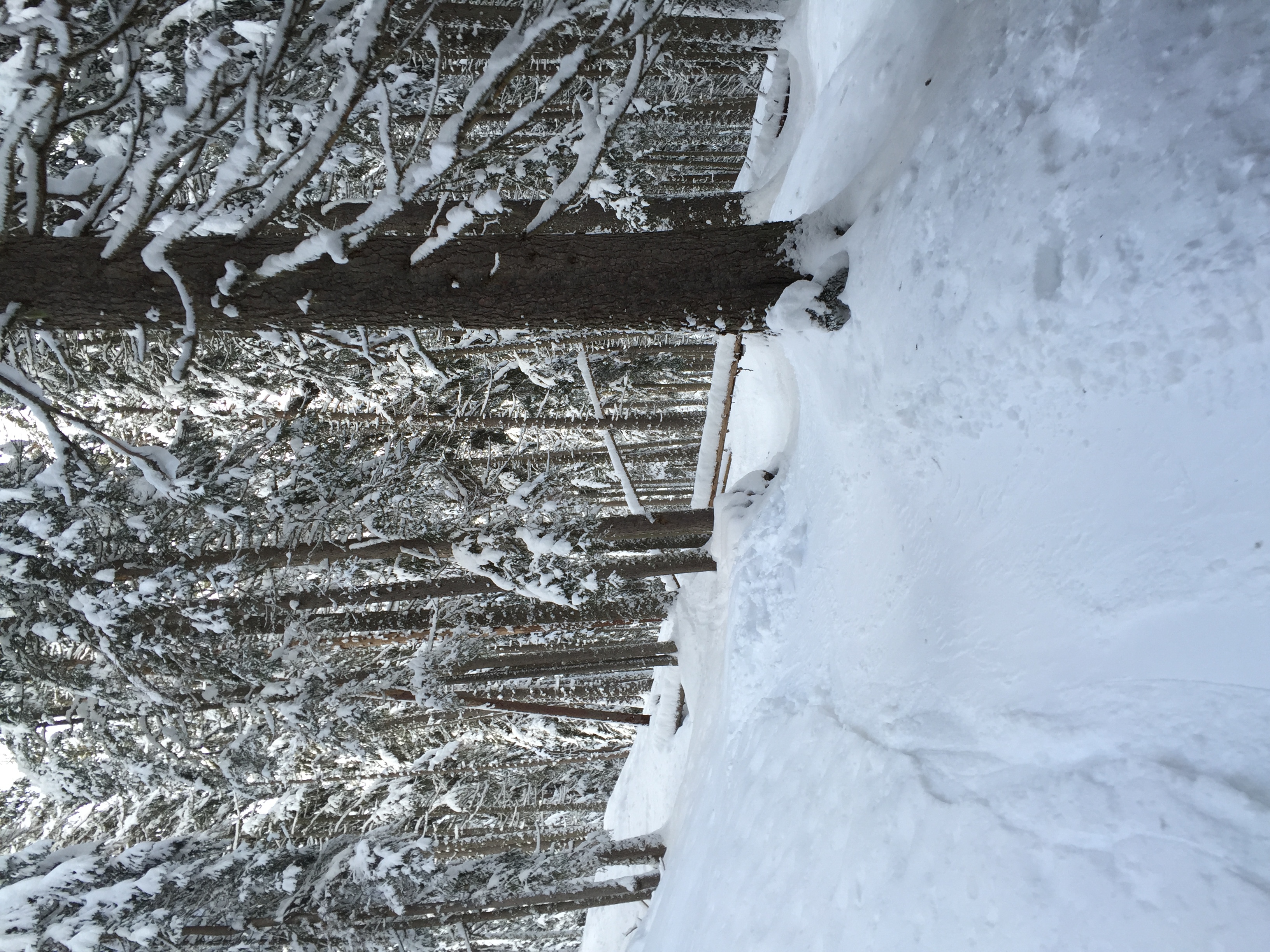 รูปถ่าย ฝรั่งเศส(France) เมแฌฟว์(Megeve) 2016-02 91
