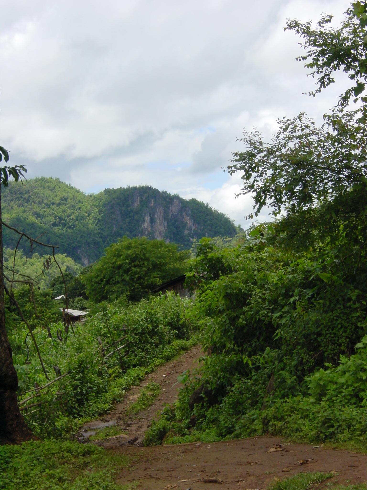 รูปถ่าย ไทย(Thailand) แม่ฮ่องสอน(Mae Hong Son) 2003-07 19