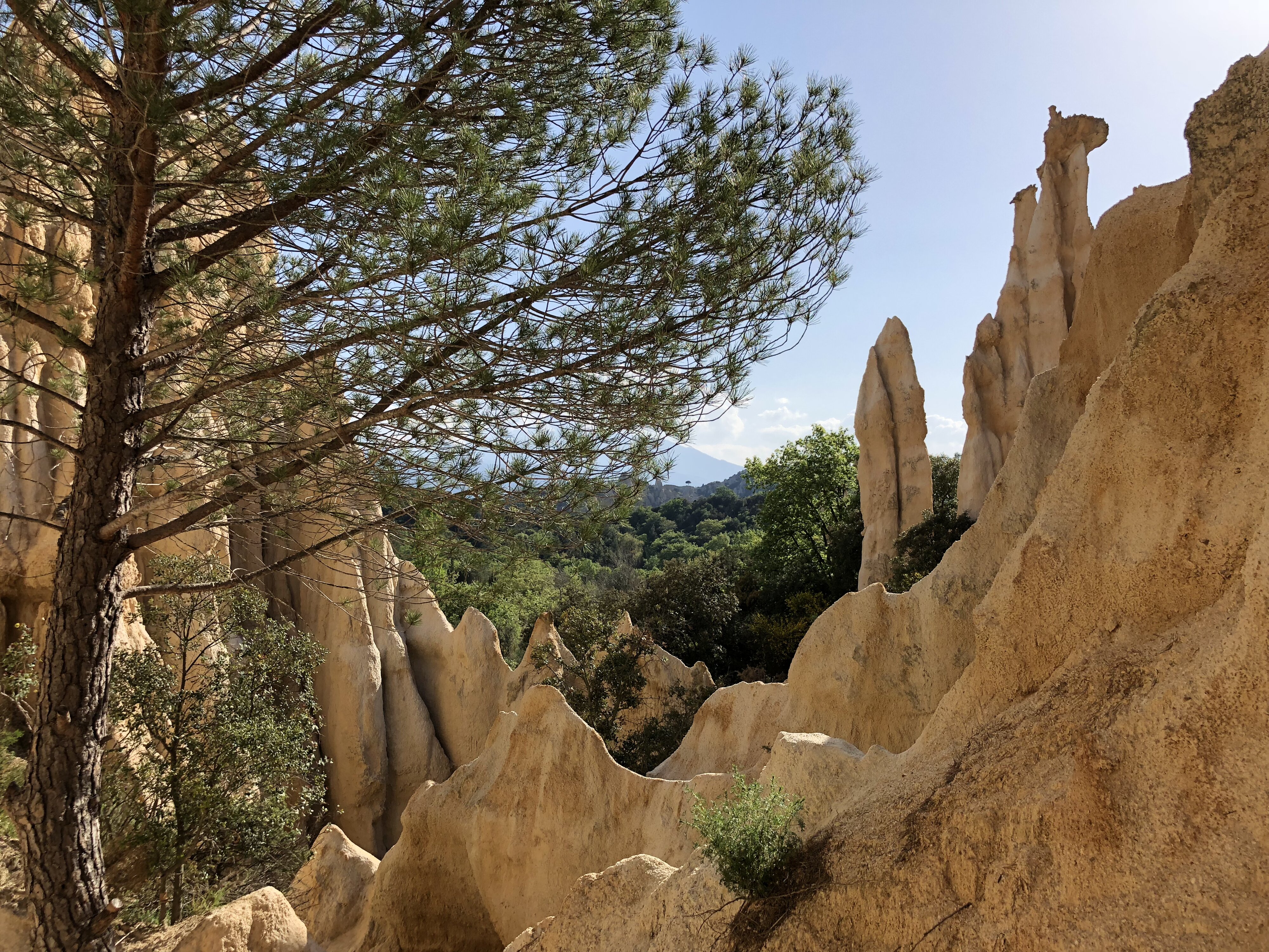 รูปถ่าย ฝรั่งเศส(France) เสาหินออร์กดีล-ซูร์-แต็ต(Orgues d'Ille Sur Tet) 2018-04 10