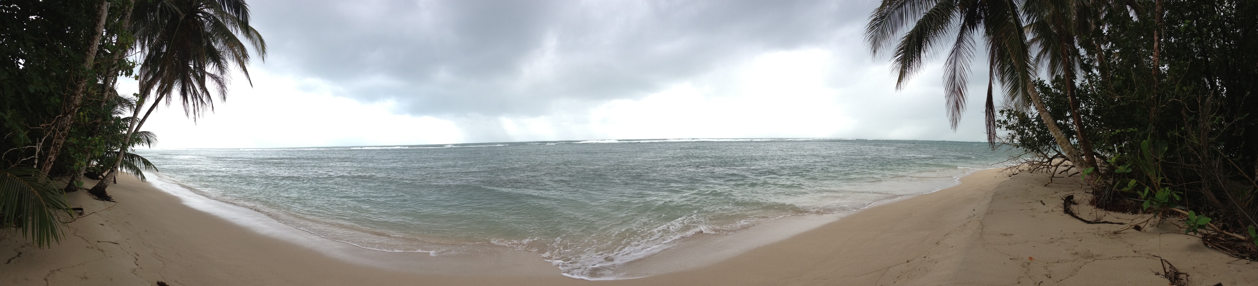 รูปถ่าย คอสตาริกา(Costa Rica) กาอุยตา(Cahuita) 2015-03 249