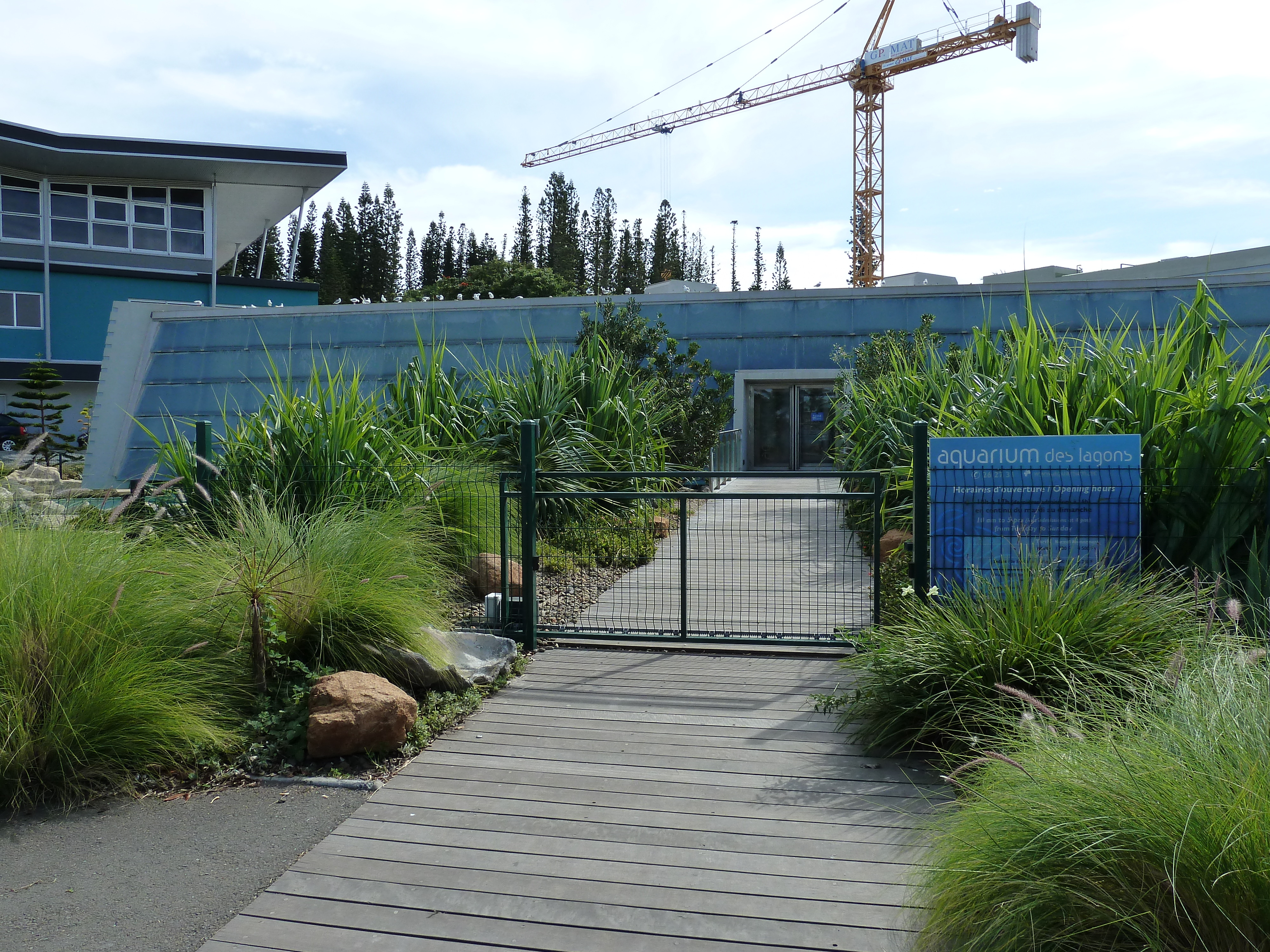 รูปถ่าย นิวแคลิโดเนีย(New Caledonia) นูเมอา(Noumea) 2010-05 11