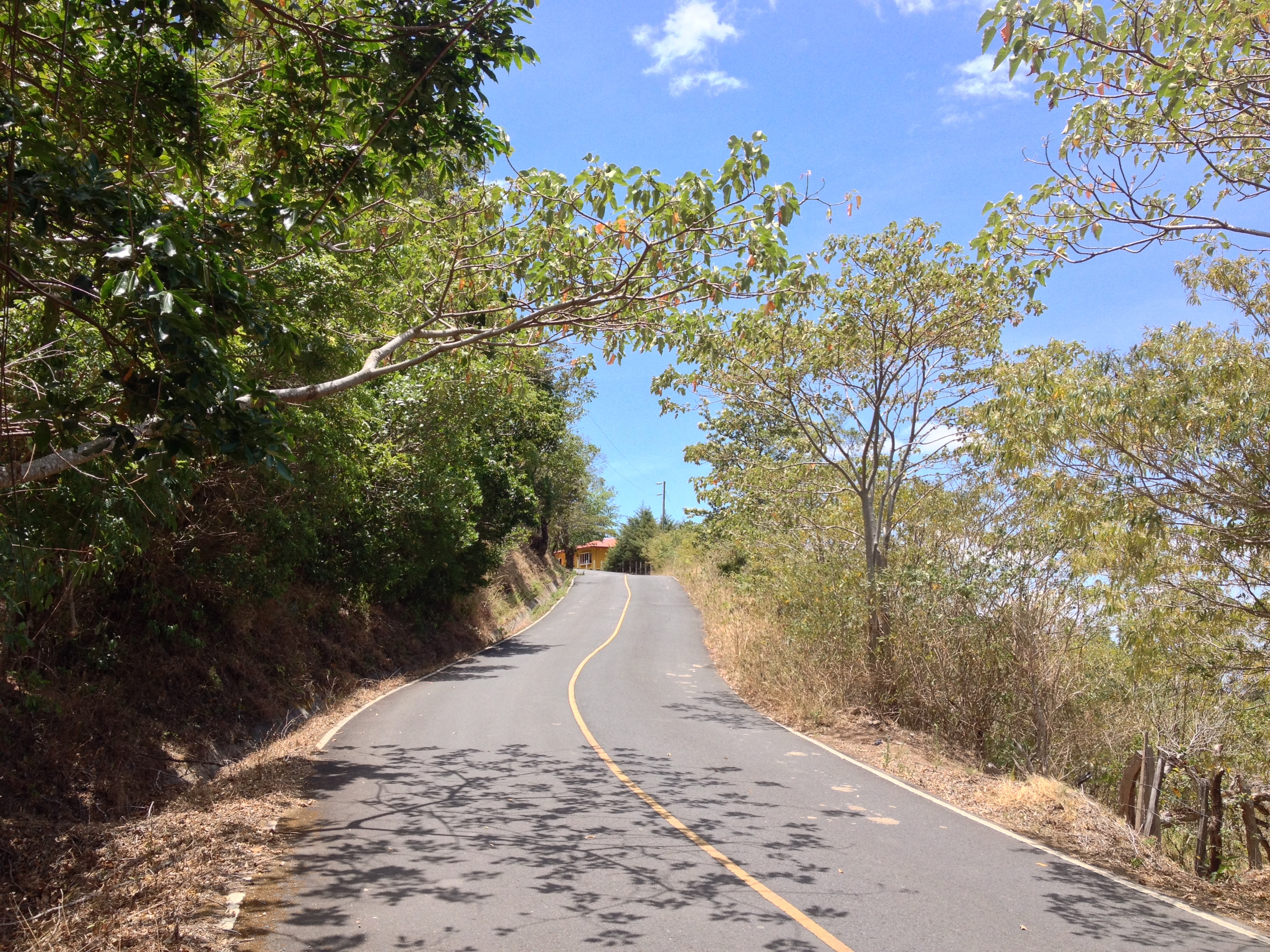 รูปถ่าย ปานามา(Panama) โบเกเต(Boquete) 2015-03 81