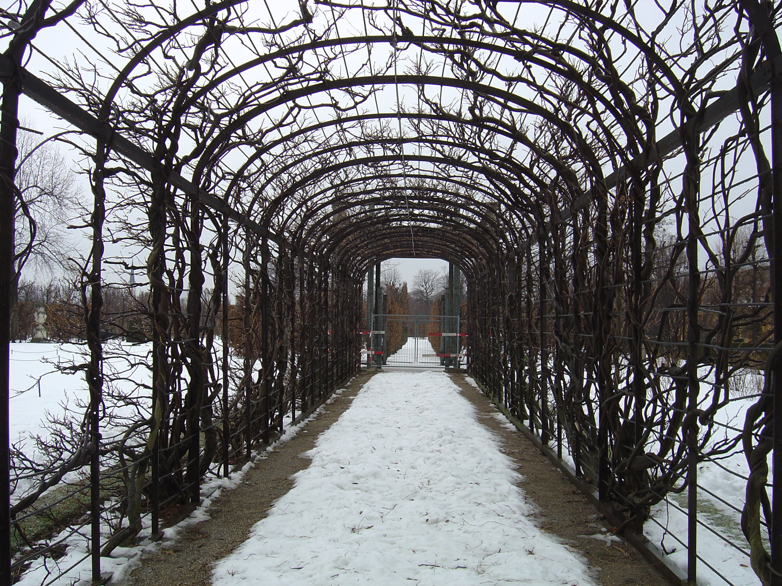 รูปถ่าย ออสเตรีย(Austria) เวียนนา(Vienna) 2005-03 51
