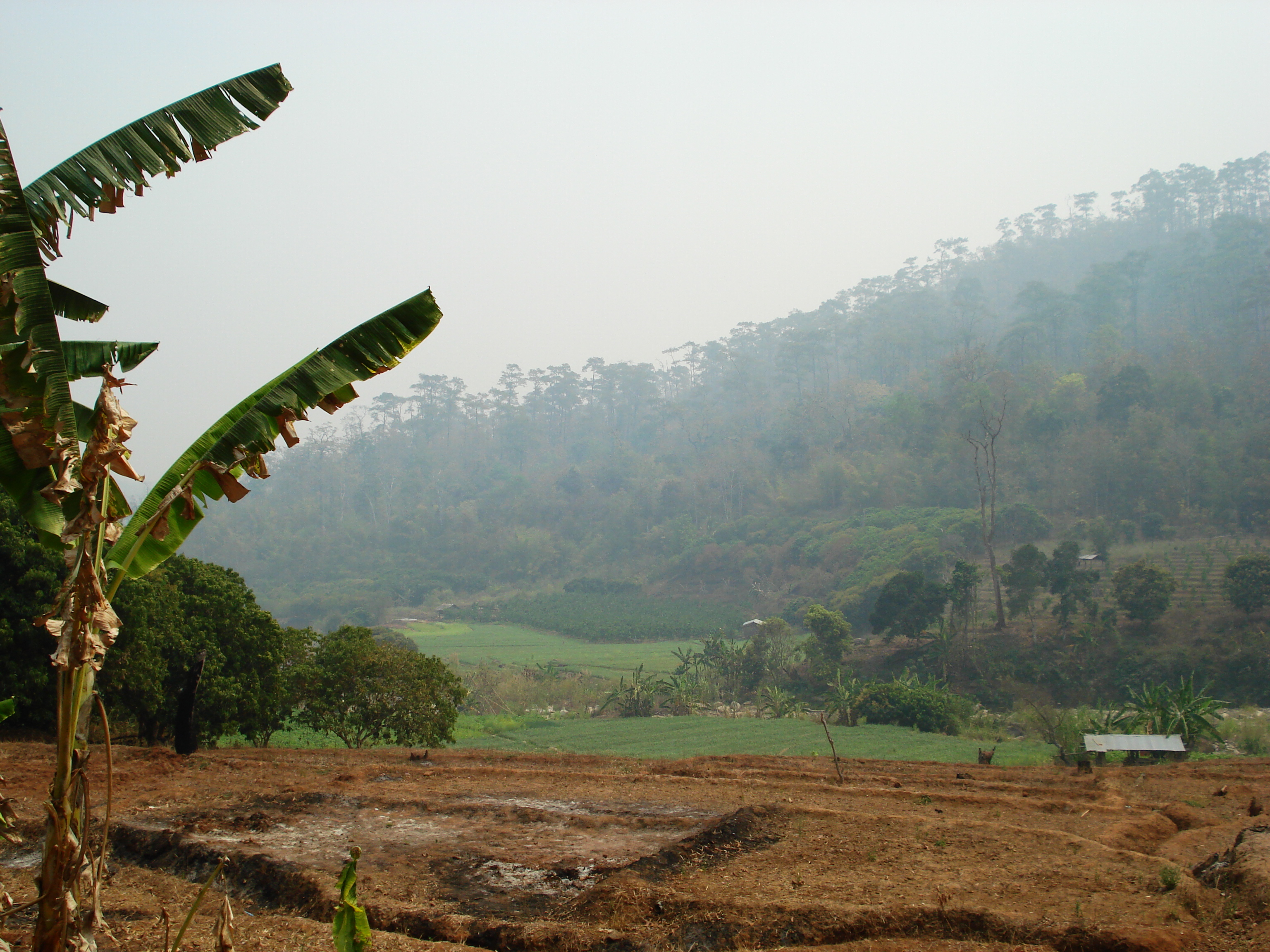รูปถ่าย ไทย(Thailand) ถนนจากปางมะผ้าไปปาย(Pang Mapha to Pai road) 2007-02 37