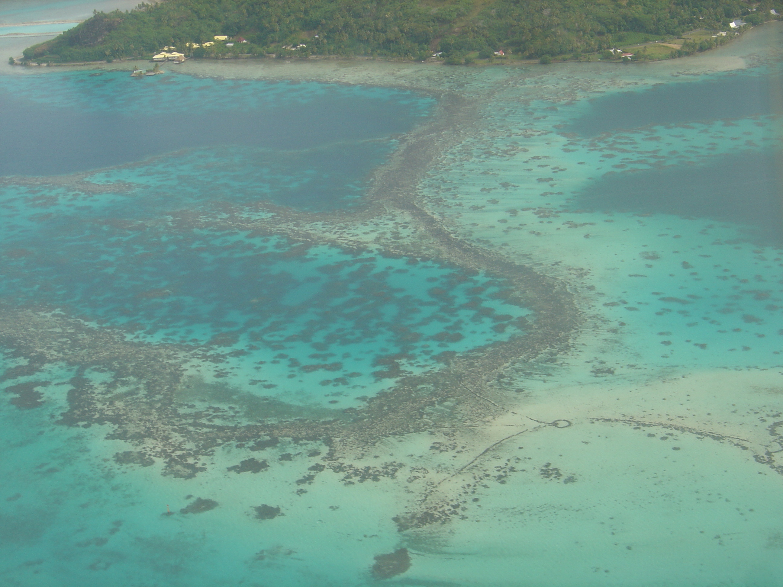 รูปถ่าย เฟรนช์โพลี่นีเซีย(Polynesia) โบราโบรา(Bora Bora) 2006-04 112