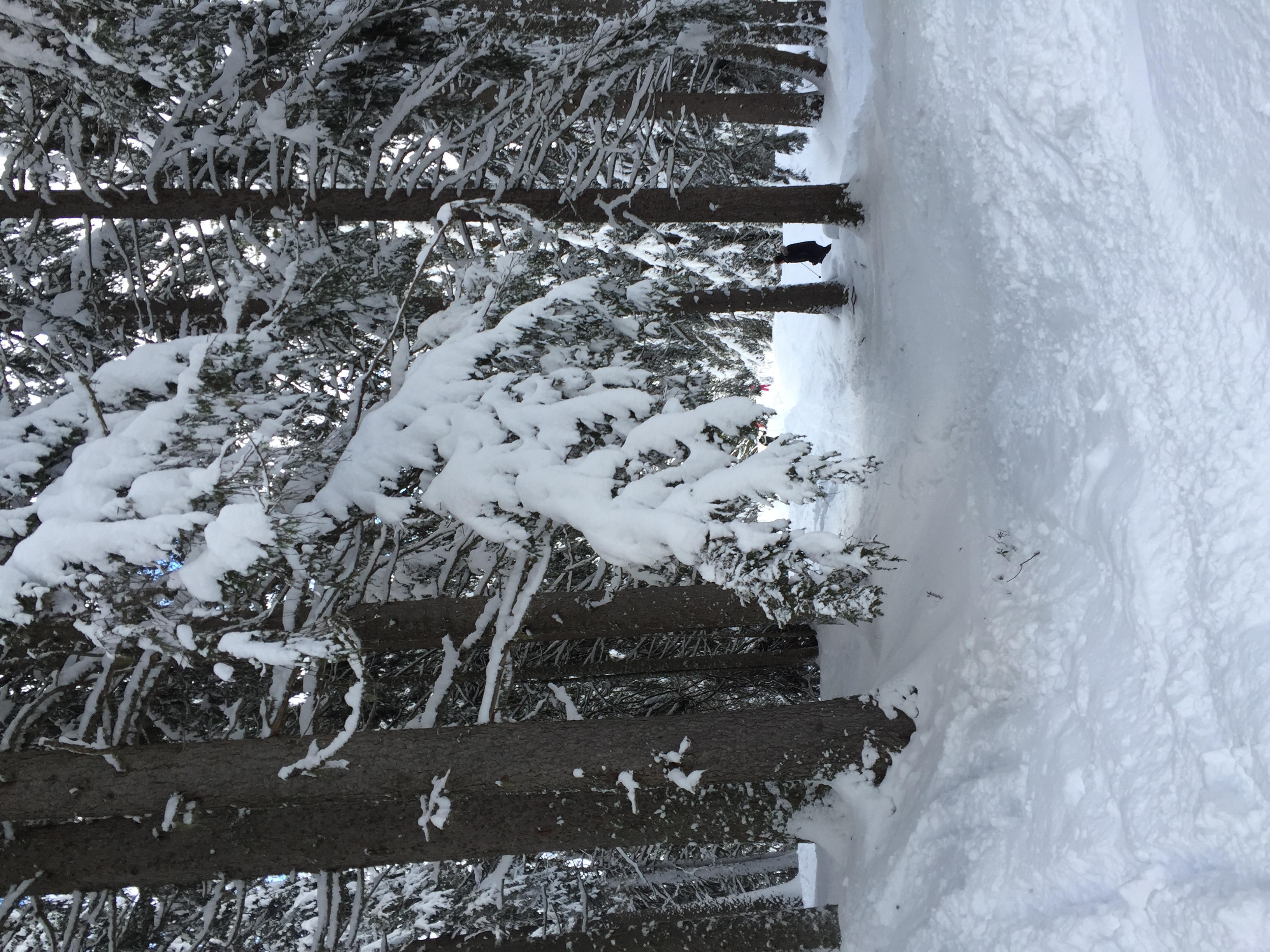 รูปถ่าย ฝรั่งเศส(France) เมแฌฟว์(Megeve) 2016-02 73