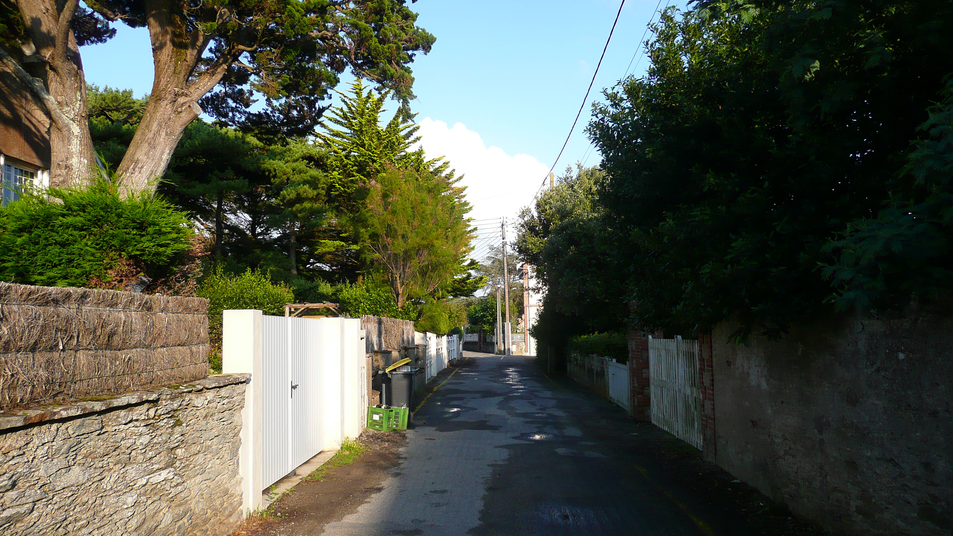 รูปถ่าย ฝรั่งเศส(France) เพรฟาย(Prefailles) ตรอกซอกซอยในเปรฟาย(Ruelles de Prefailles) 2007-07 7