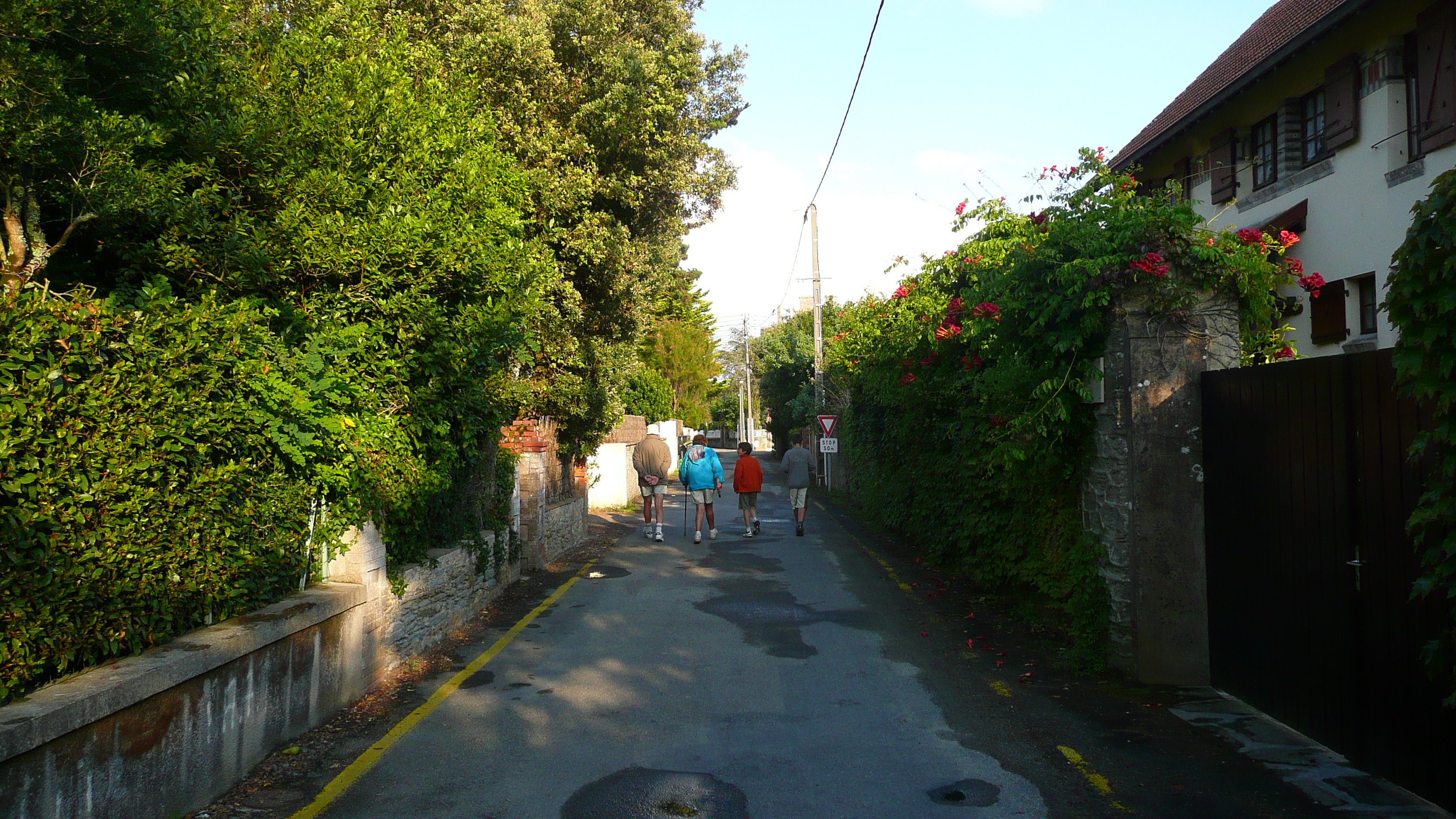 รูปถ่าย ฝรั่งเศส(France) เพรฟาย(Prefailles) ตรอกซอกซอยในเปรฟาย(Ruelles de Prefailles) 2007-07 8