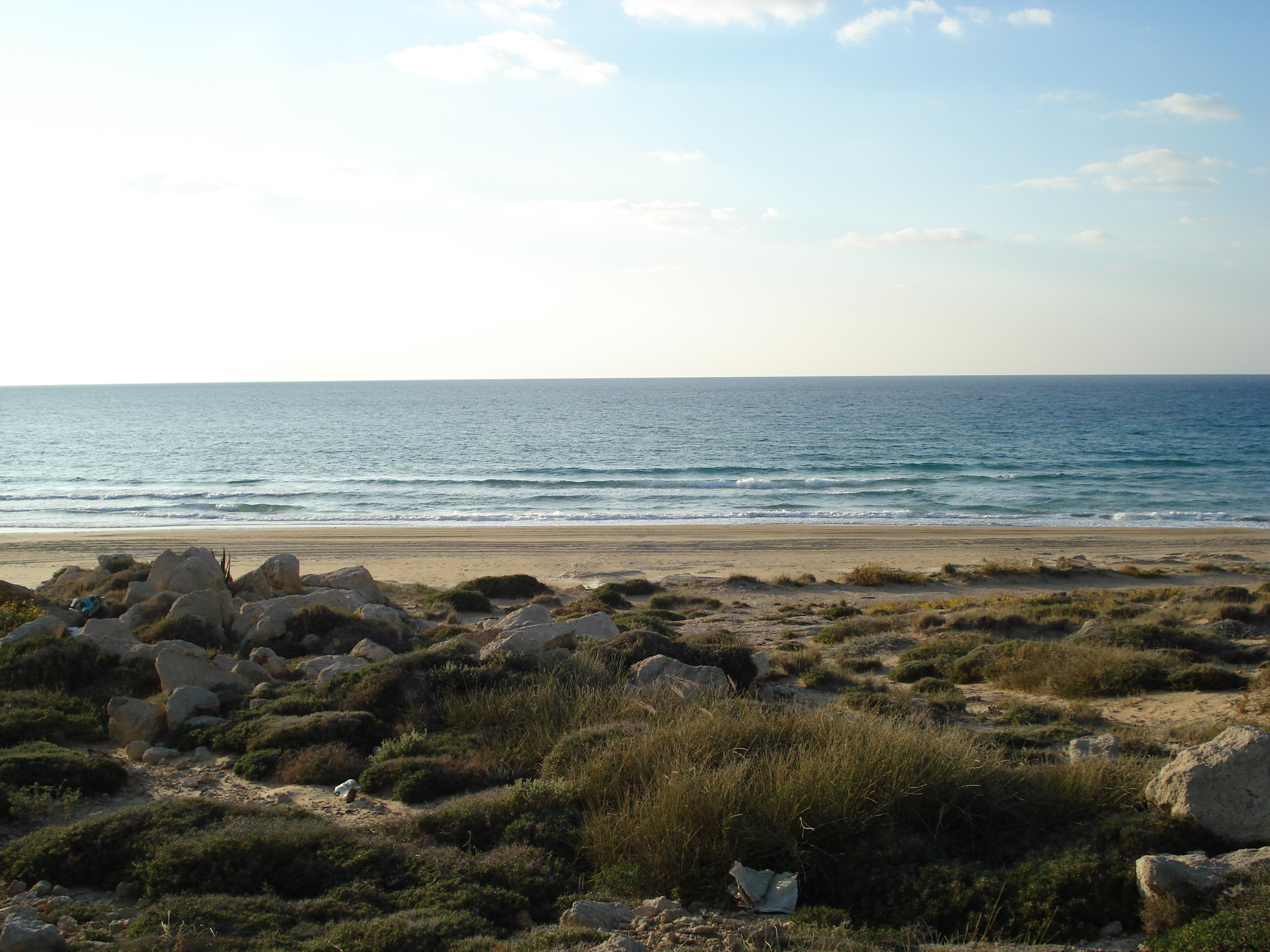 รูปถ่าย อิสราเอล(Israel) จากไฮฟาไปเทลอาวีฟ(From Haifa to Tel Aviv) 2006-12 12