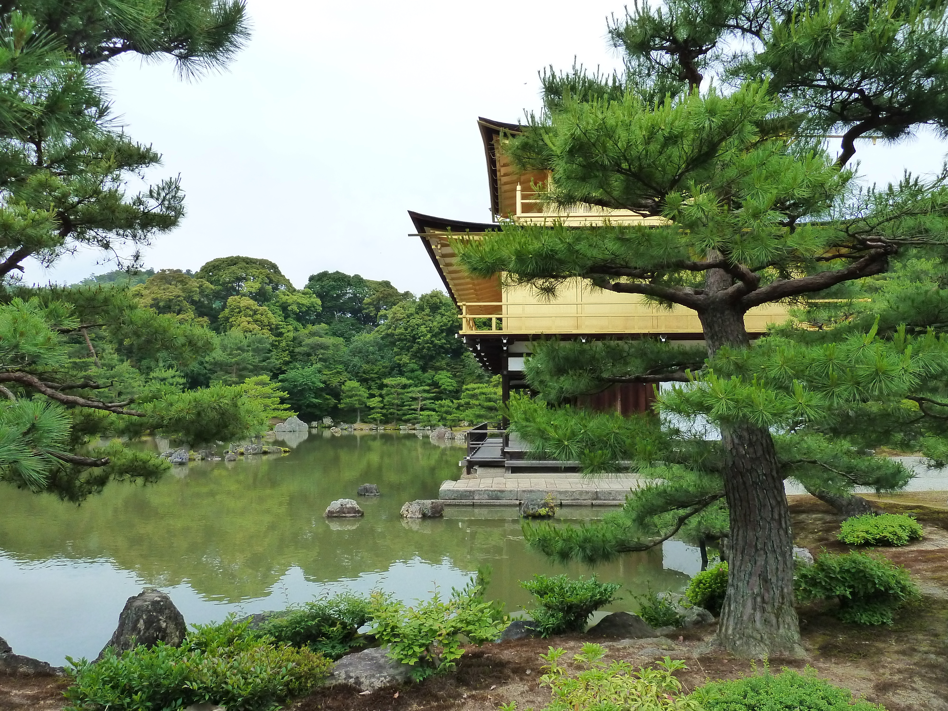 รูปถ่าย ญี่ปุ่น(Japan) เกียวโต(Kyoto) วัดคินกะกุจิ (ศาลาทอง)(Kinkakuji Temple(Golden Pavilion)) 2010-06 70
