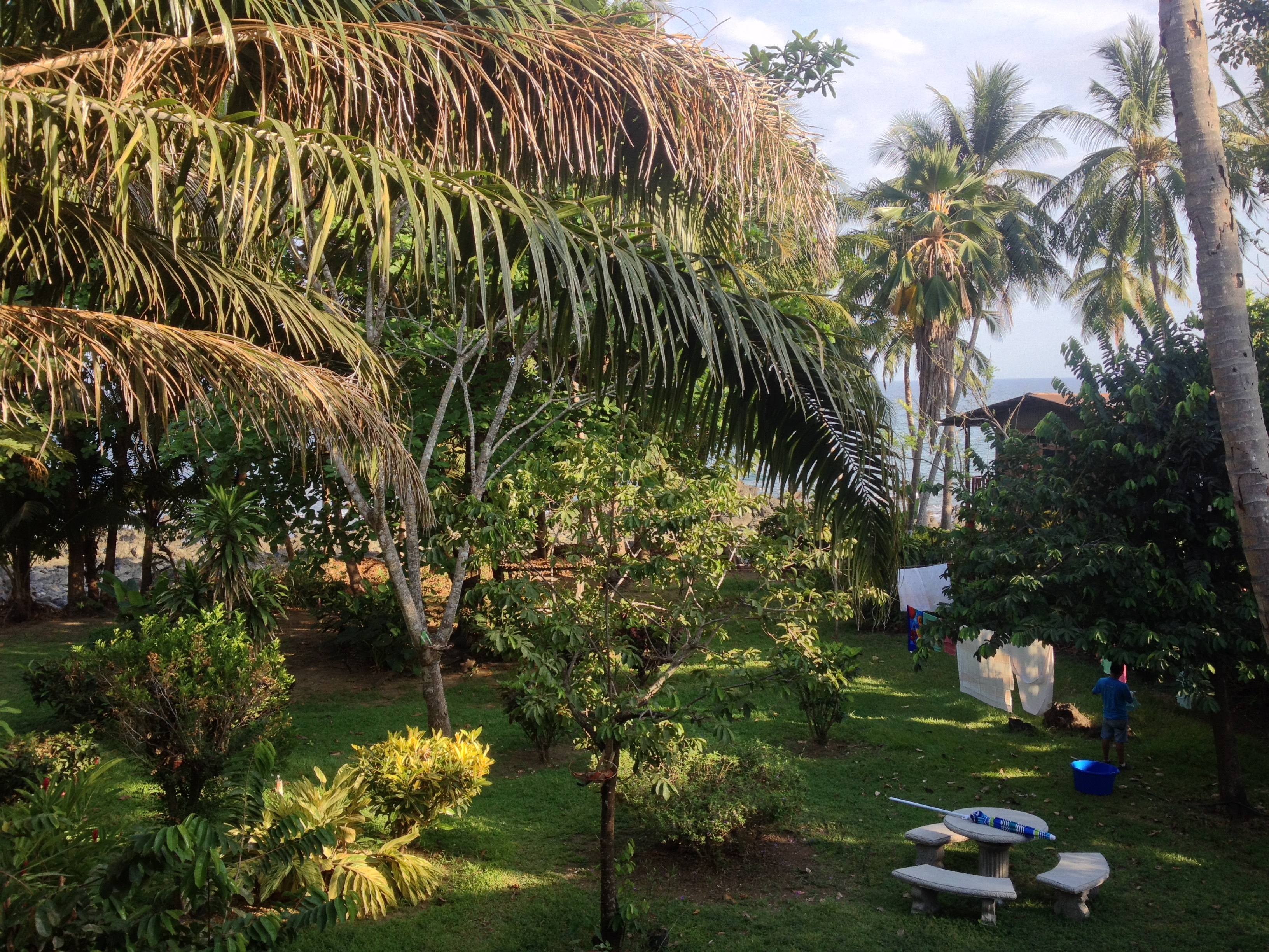 รูปถ่าย คอสตาริกา(Costa Rica) มอนเตซูมา(Montezuma) 2015-03 282