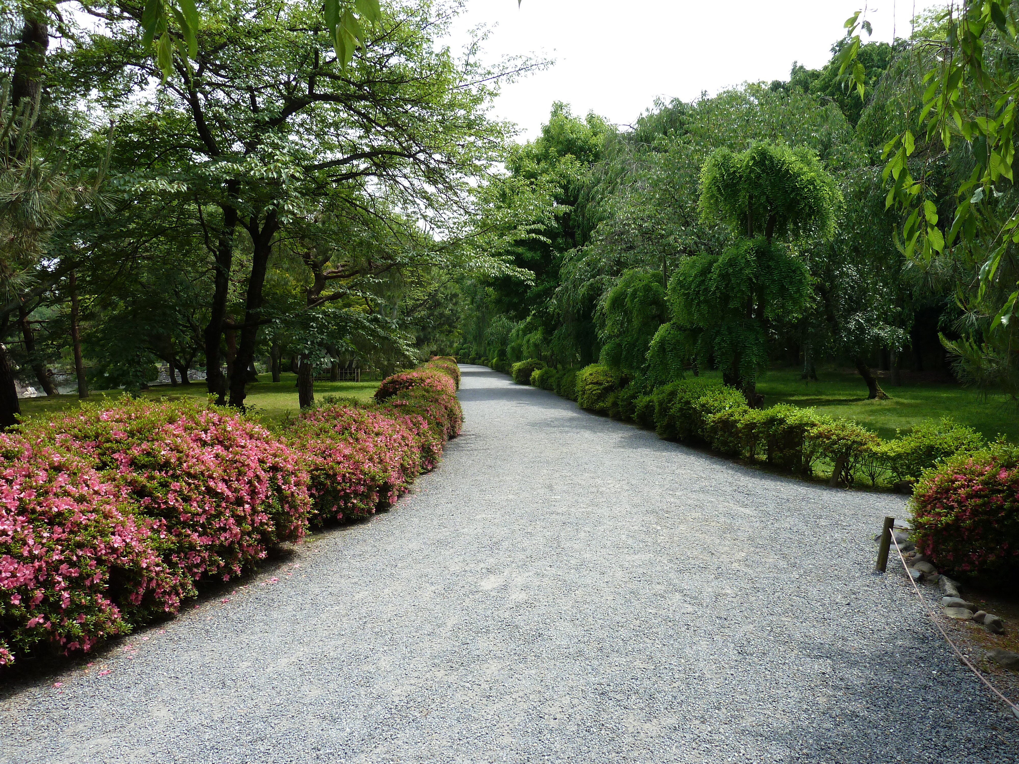 รูปถ่าย ญี่ปุ่น(Japan) เกียวโต(Kyoto) ปราสาทนิโจ(Nijo Castle) พระราชวังฮมมะรุ(Honmaru Palace) 2010-06 48