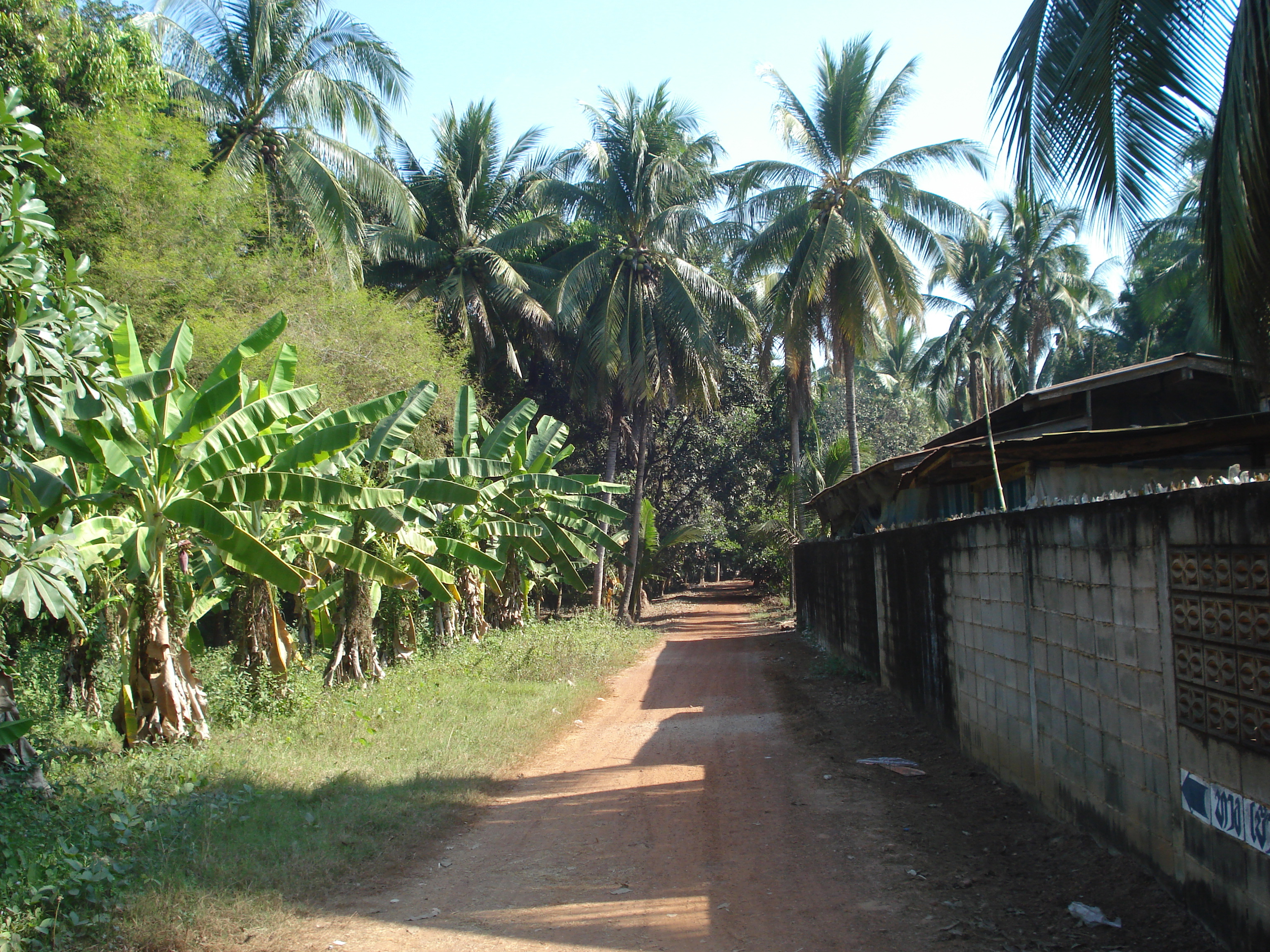 รูปถ่าย ไทย(Thailand) พิษณุโลก(Phitsanulok) 2008-01 36
