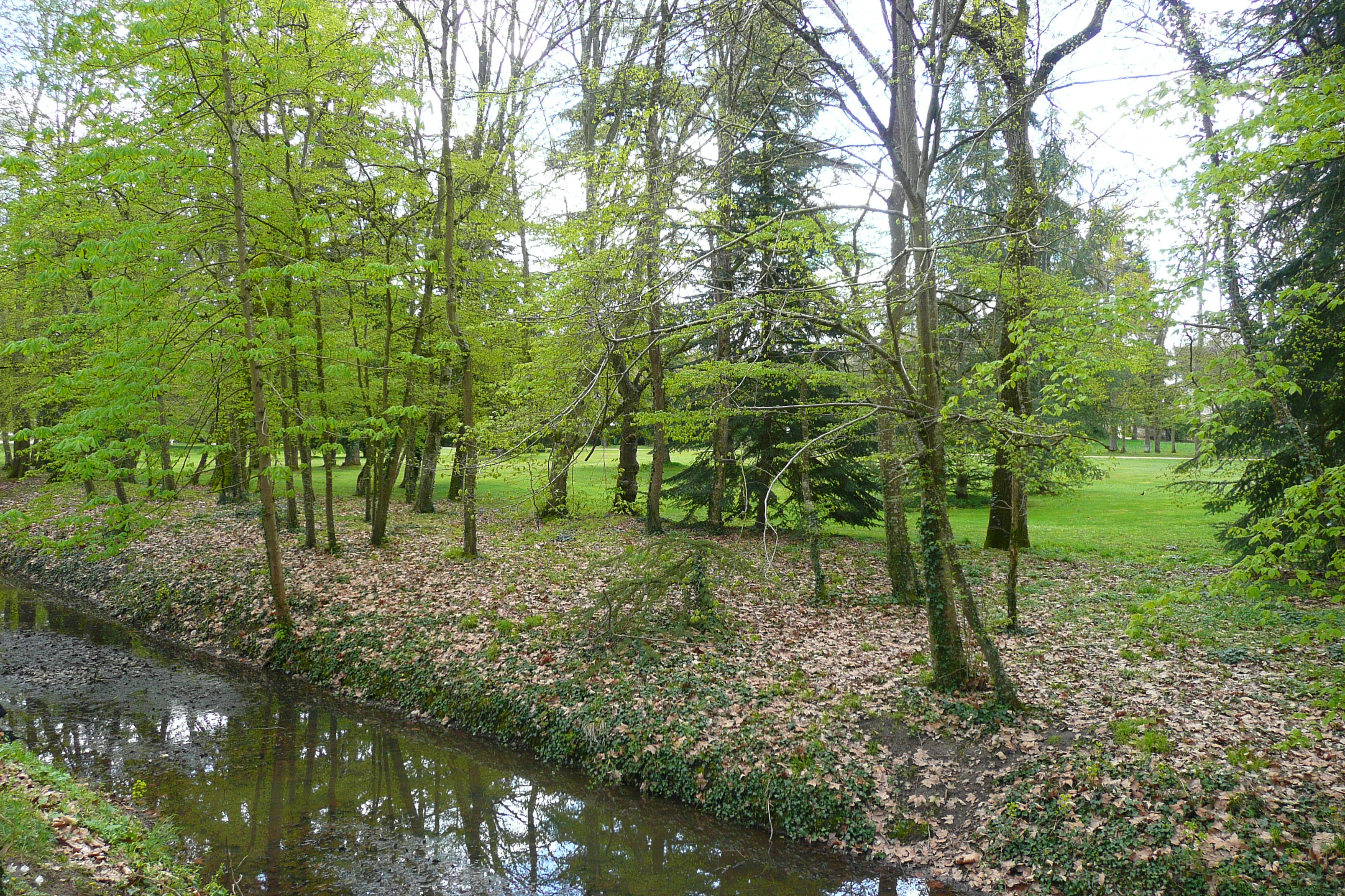 รูปถ่าย ฝรั่งเศส(France) ปราสาทเชอนงโซ(Chenonceau Castle) สวนปราสาทเชอนงโซ(Gardens of Chenonceau) 2008-04 43